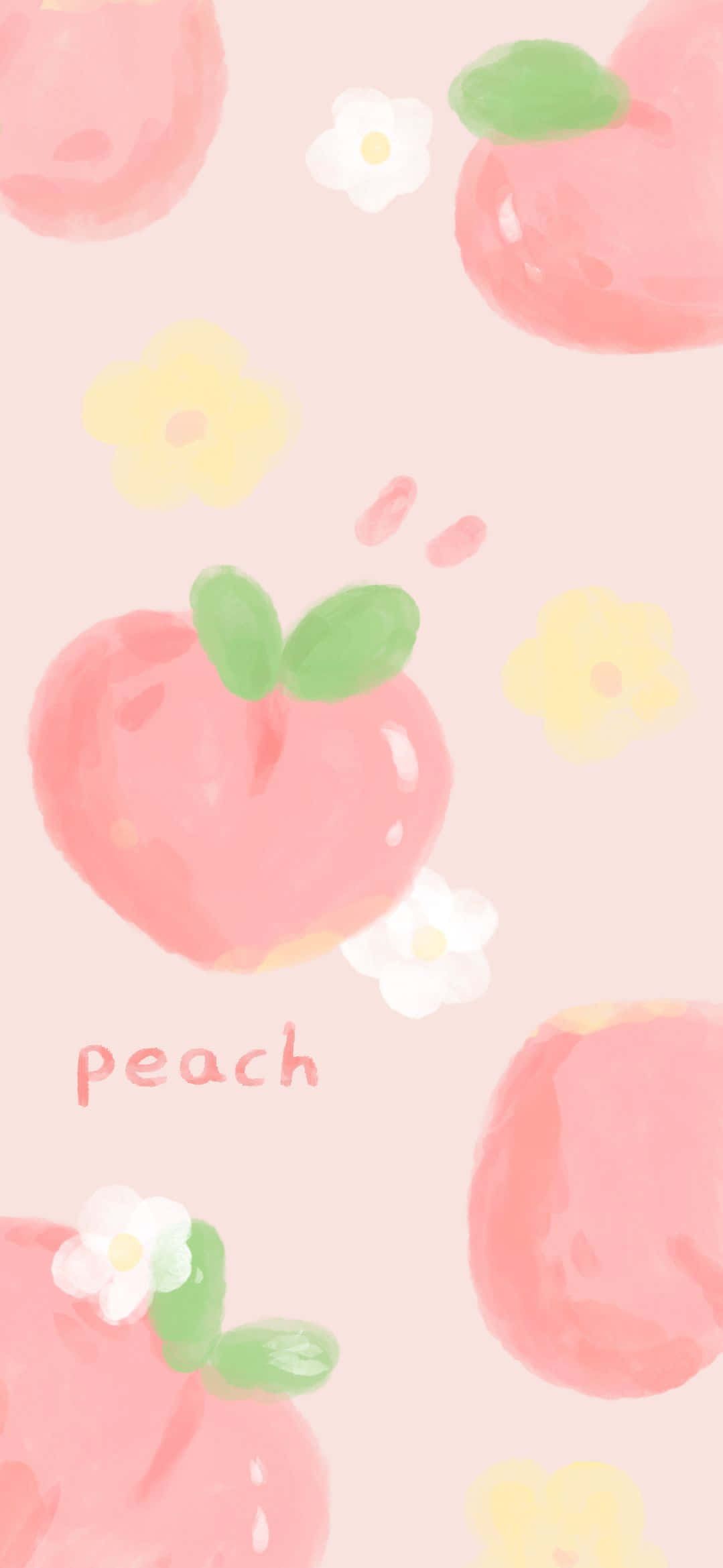Cute Peach 桌布 壁紙 — 柔和的水彩蜜桃果實和小花輕輕漂浮在粉彩粉紅背景上。