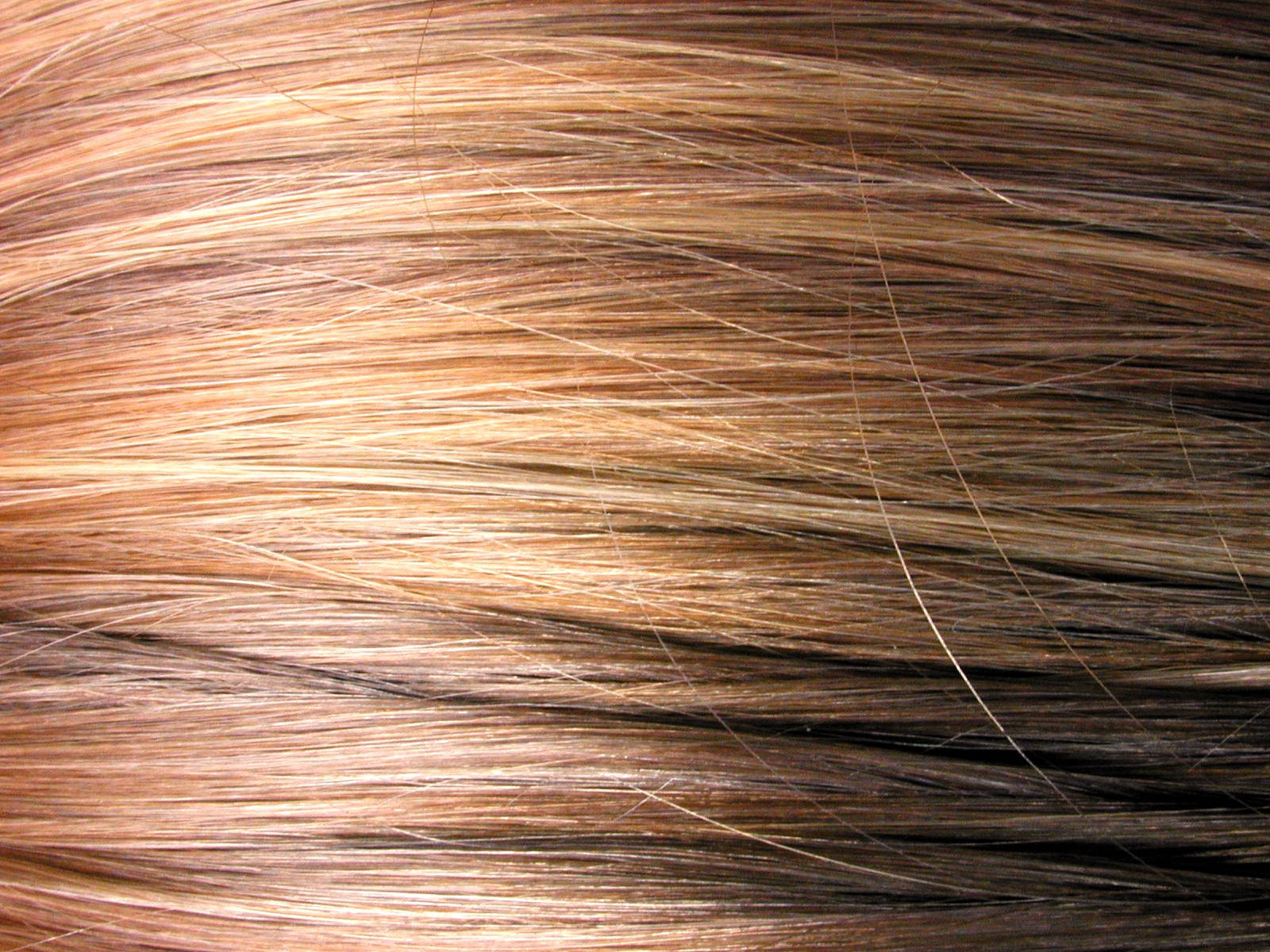 hair 桌布 壁紙 — 柔和的燈光下，光滑金髮的細微高光與自然質感的特寫。