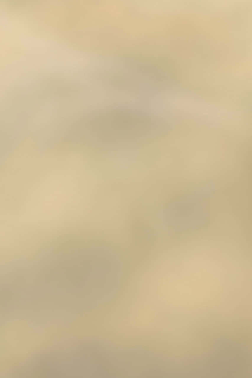 Light Tan 桌布 壁紙 — 柔和的米色和奶油色抽象漸層，帶有微妙的模糊圓形，營造出平靜的極簡背景。