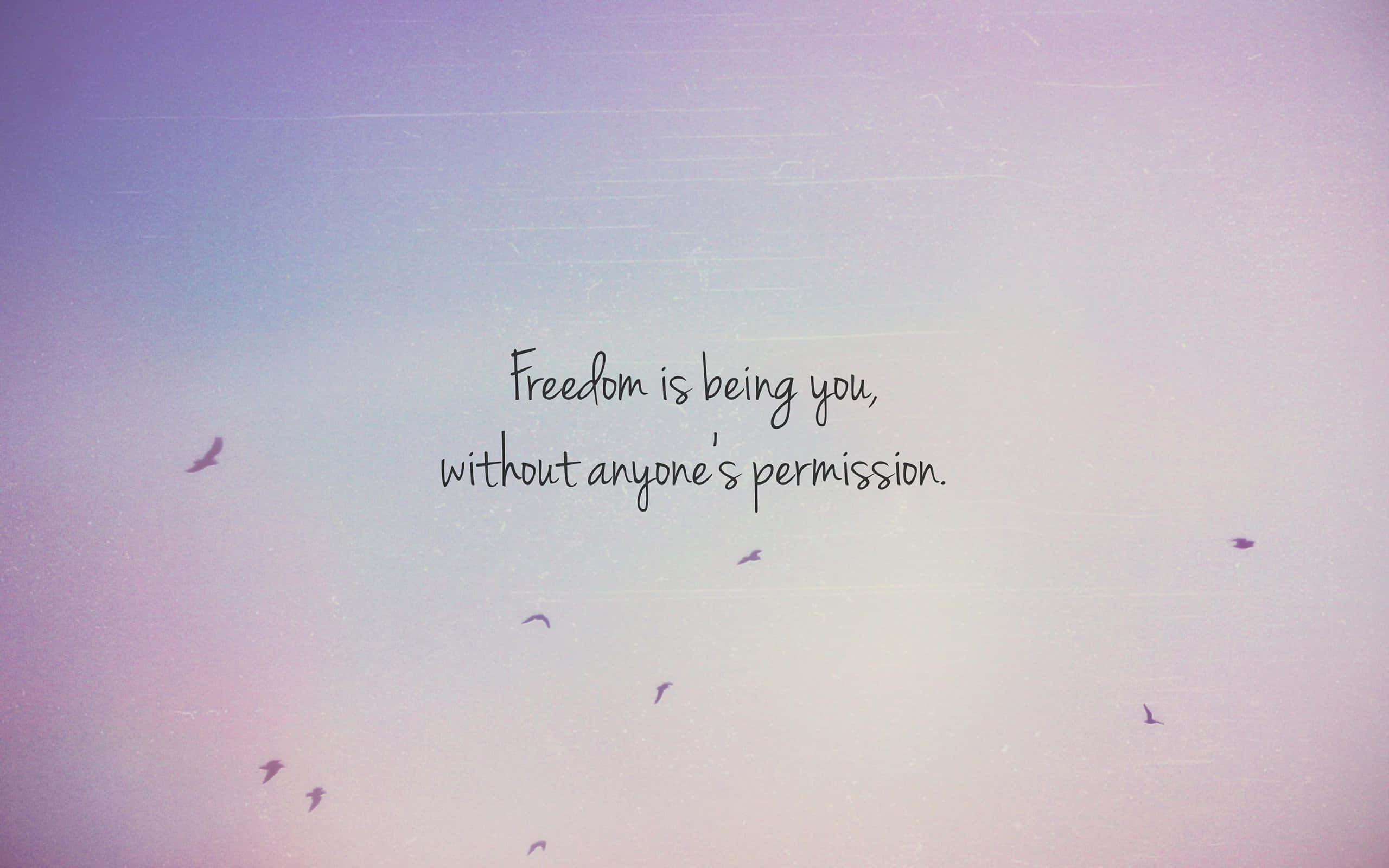 Freedom 桌布 壁紙 — 柔和的粉彩天空，有鳥兒飛翔，同時有一句關於自由的手寫語句輕輕飄過畫面。