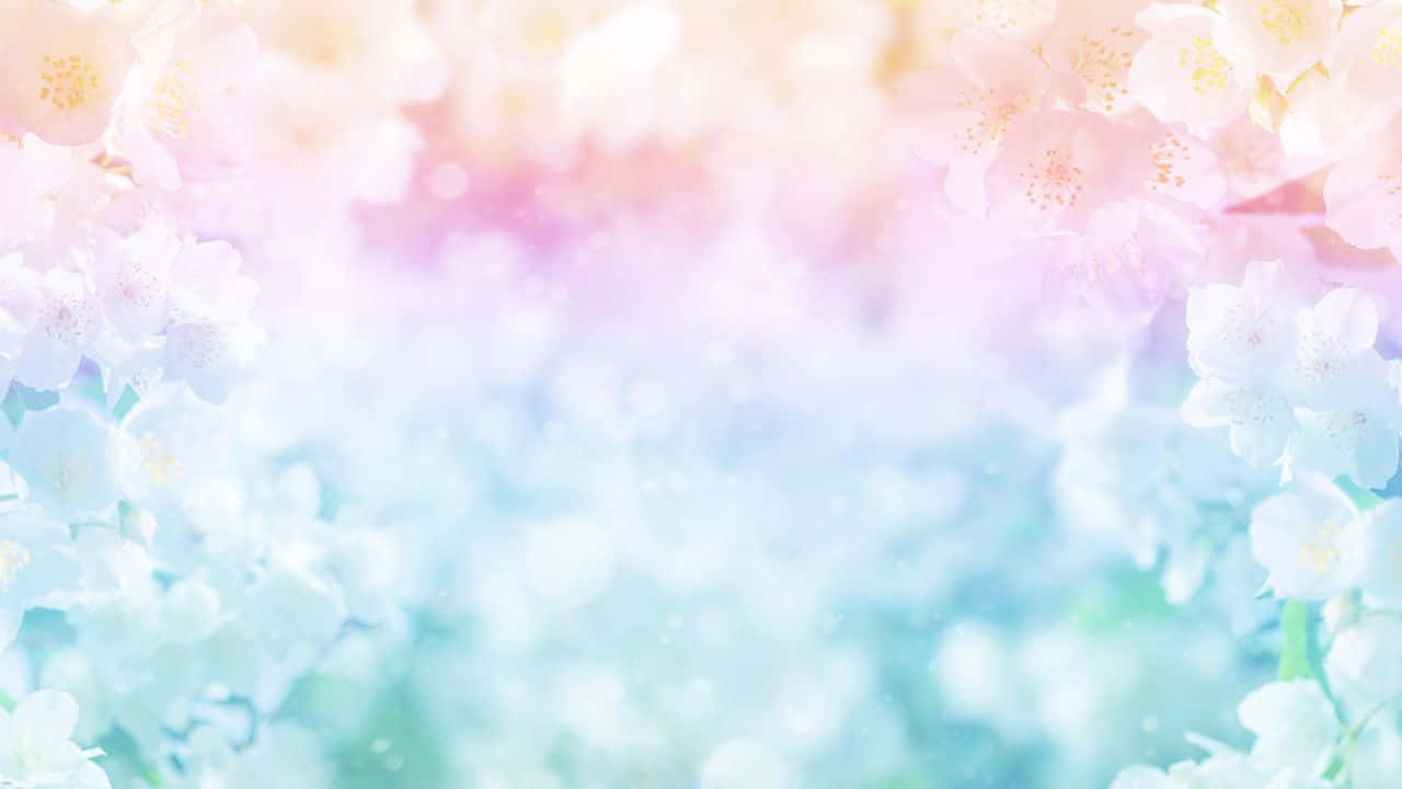 1280x720 桌布 壁紙 — 柔和的粉彩櫻花框住一個夢幻的漸變天空，帶有柔和的散景和漂浮的花瓣。