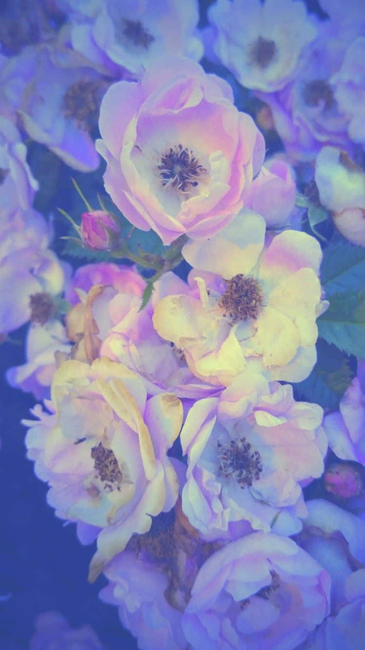 Flowers Aesthetic 桌布 壁紙 — 柔和的粉彩玫瑰在清涼的藍色背景上散發夢幻的薰衣草和黃色色調。
