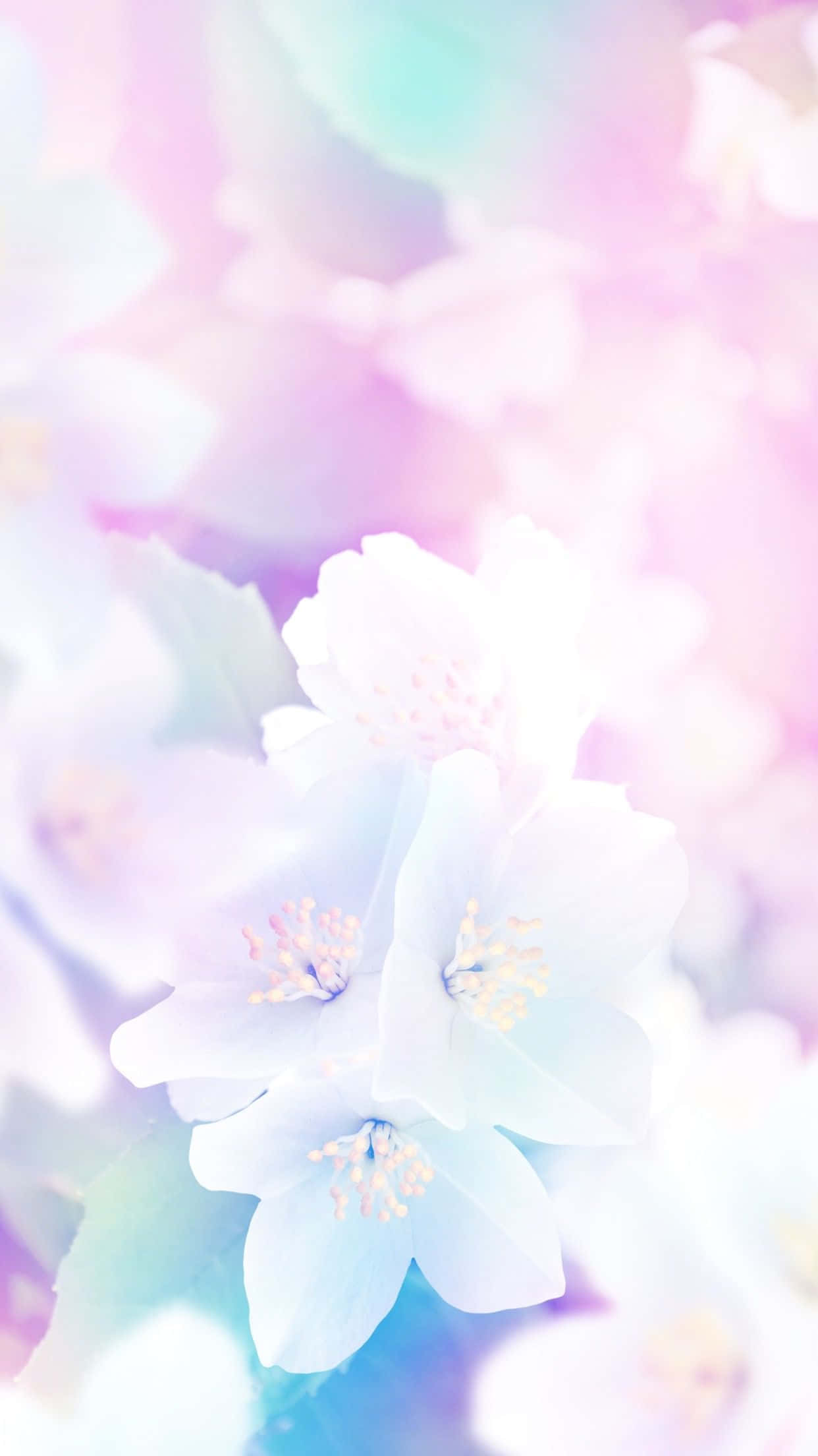Spring Pastel 桌布 壁紙 — 柔和的粉彩花朵在粉紅、藍色和薰衣草色調的夢幻漸變天空下輕輕綻放。
