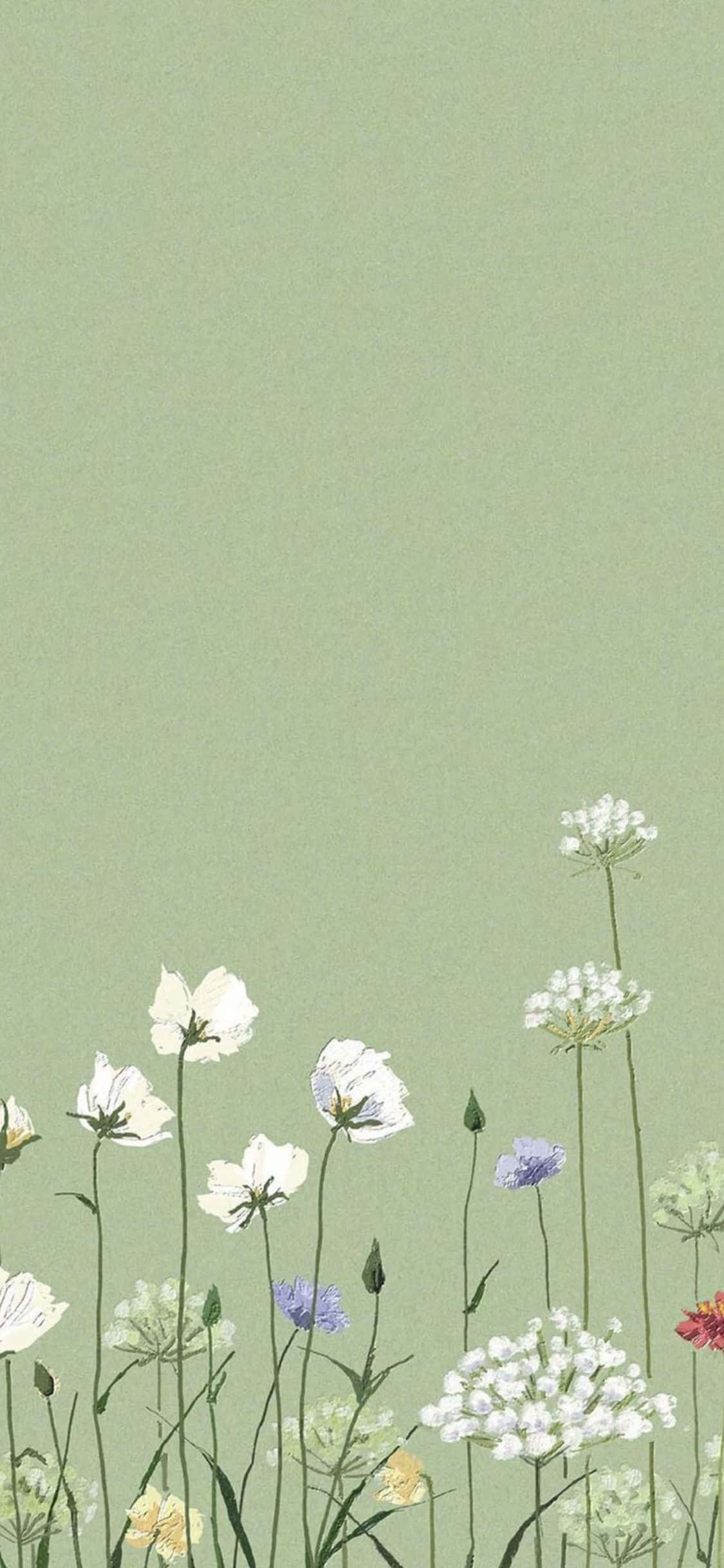 Flowers Aesthetic 桌布 壁紙 — 柔和的粉彩野花在低調的鼠尾草綠色背景上綻放，呈現極簡植物插圖風格。