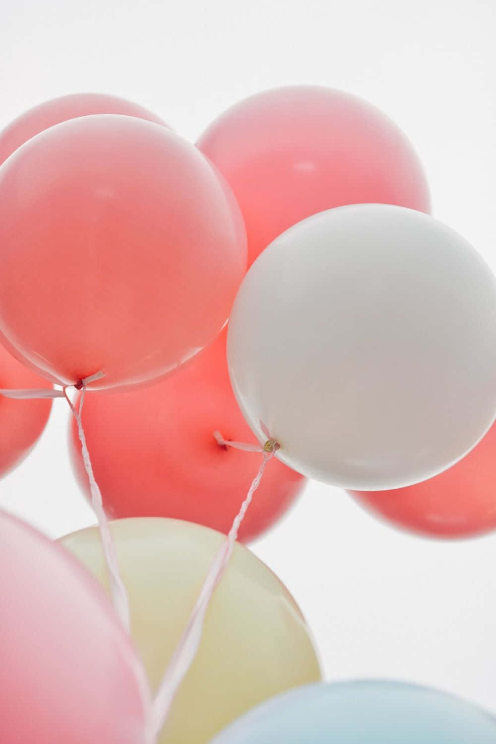Pink Balloons 桌布 壁紙 — 柔和的粉紅、白色和淡黃色氣球在明亮的白色背景上輕輕漂浮。