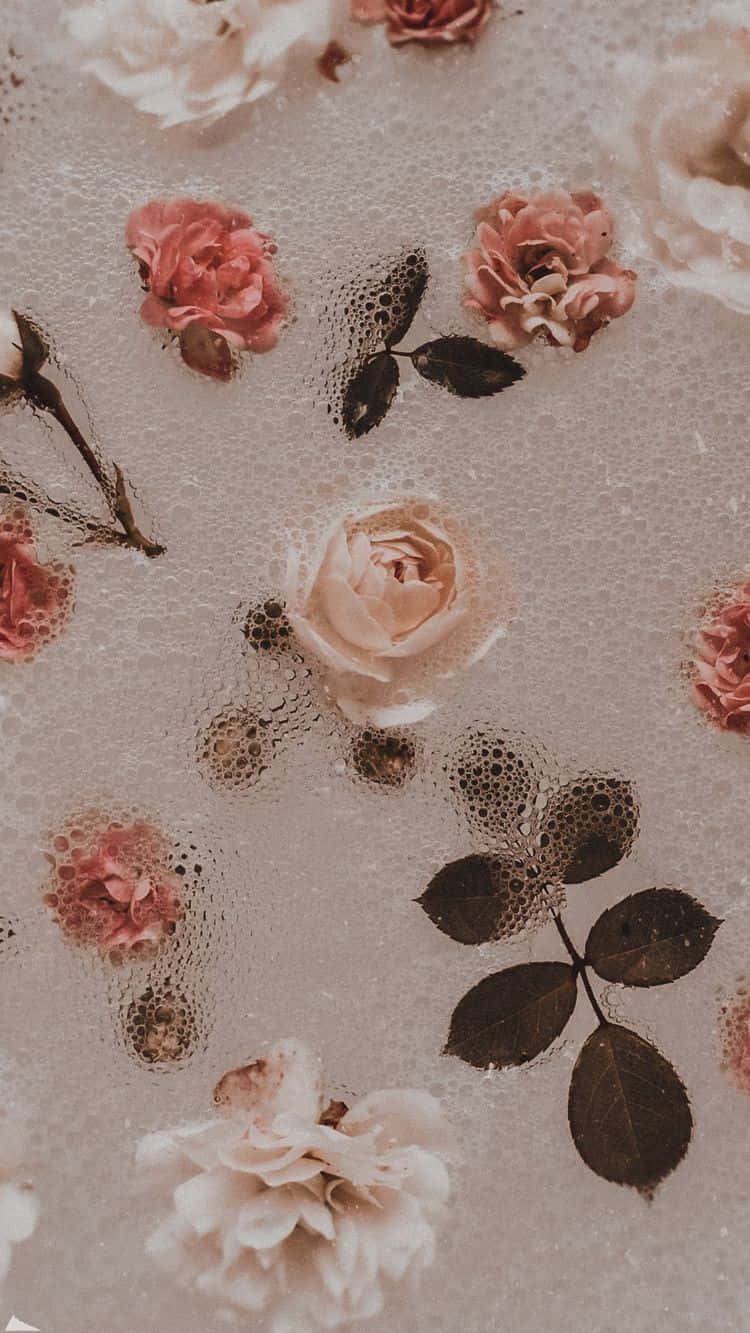 Vintage Rose 桌布 壁紙 — 柔和的粉紅和奶油色玫瑰與深色葉子在氣泡水中輕輕漂浮，營造出夢幻復古美學。