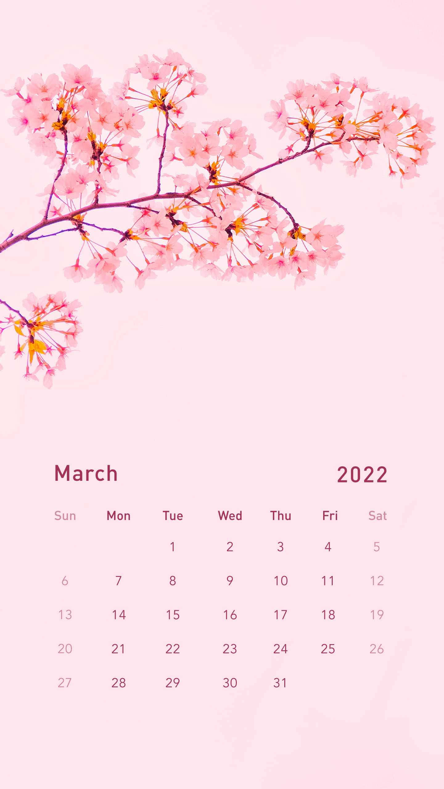 Cute March 桌布 壁紙 — 柔和的粉紅櫻花枝條在粉彩粉紅背景上拱起一個極簡的2022年3月日曆。