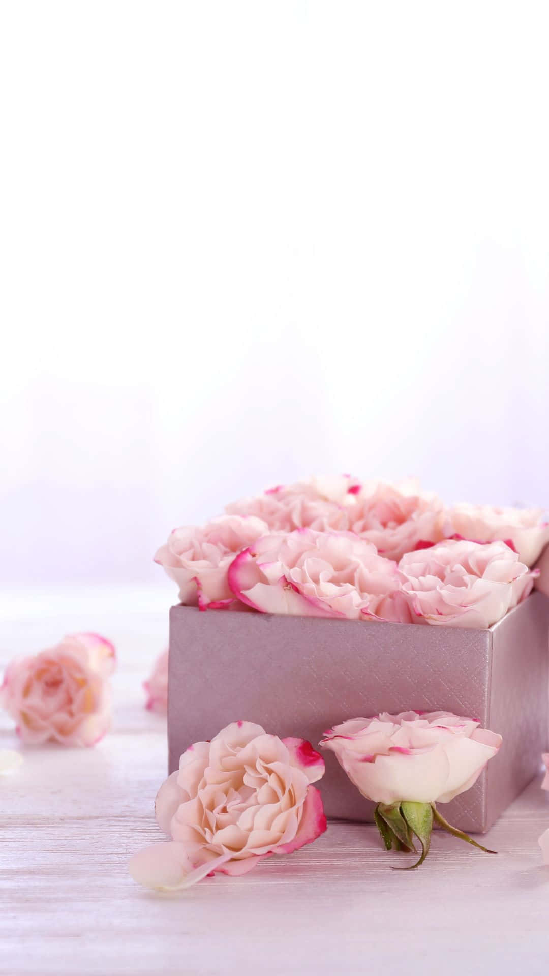 HD Rose 桌布 壁紙 — 柔和的粉紅玫瑰從一個淡紫色盒子溢出，落在淺色木質表面上，背景帶有柔和散景效果。