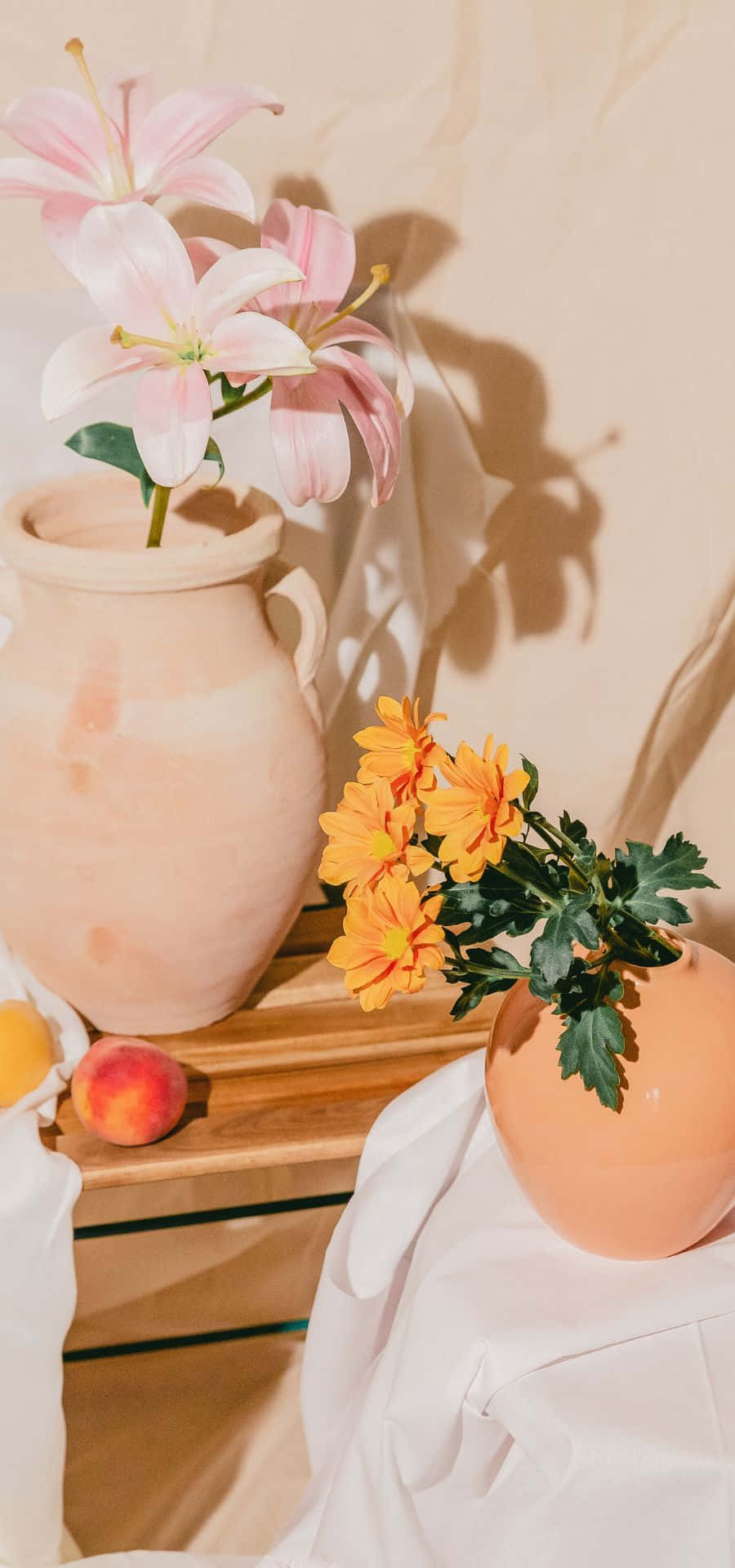 Peach Color 桌布 壁紙 — 柔和的粉紅百合和橙色雛菊在陶盆中，在奶油色牆壁上投下柔和陰影，旁邊放著桃色和白色布料。