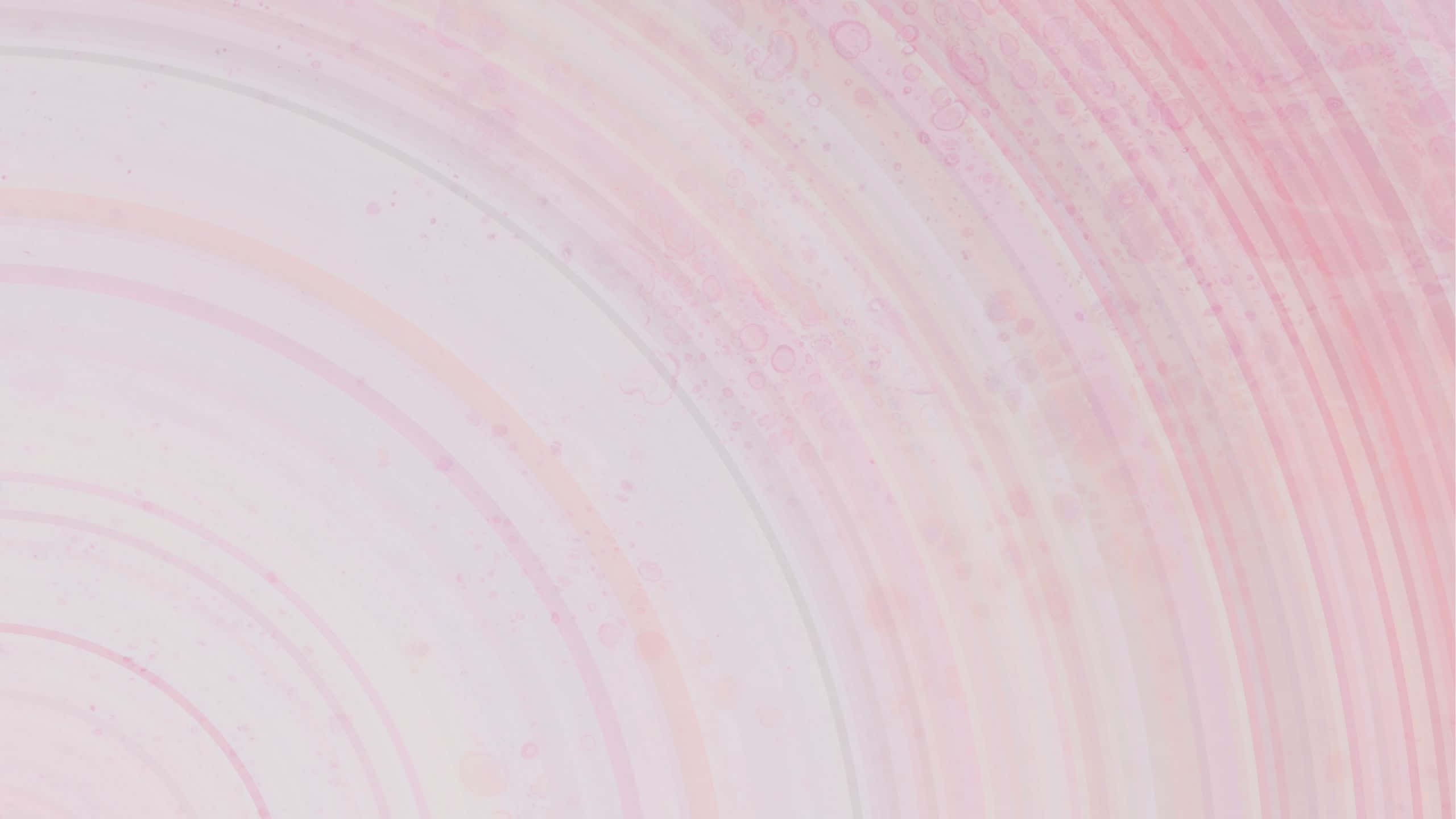 lines 桌布 壁紙 — 柔和的粉紅色和白色同心漩渦，帶有微妙的氣泡紋理，營造出溫柔夢幻的抽象背景。