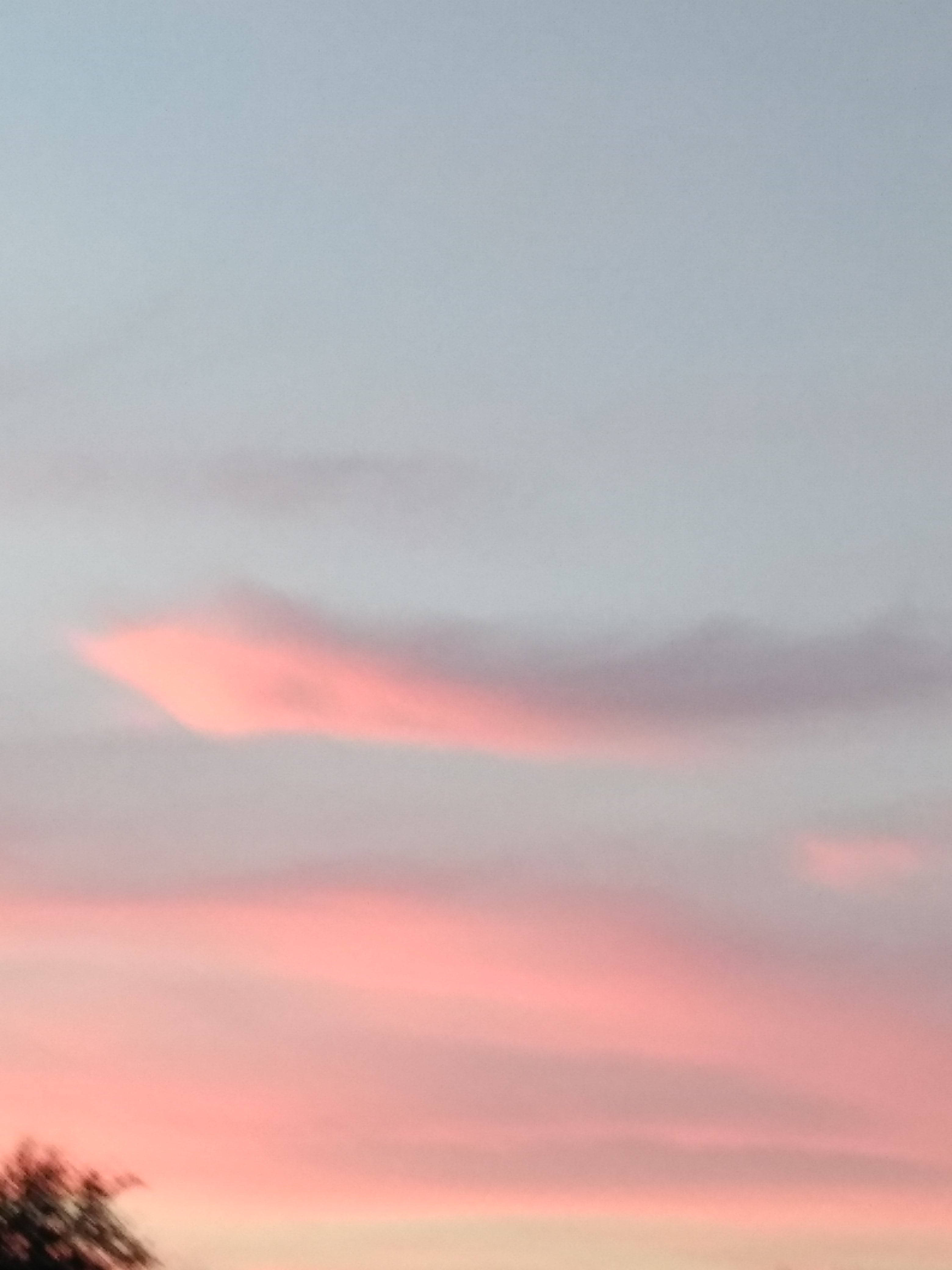 Aesthetic Sunset 桌布 壁紙 — 柔和的粉紅色和薰衣草色雲朵在暮色天空中飄移，底部有樹木剪影。