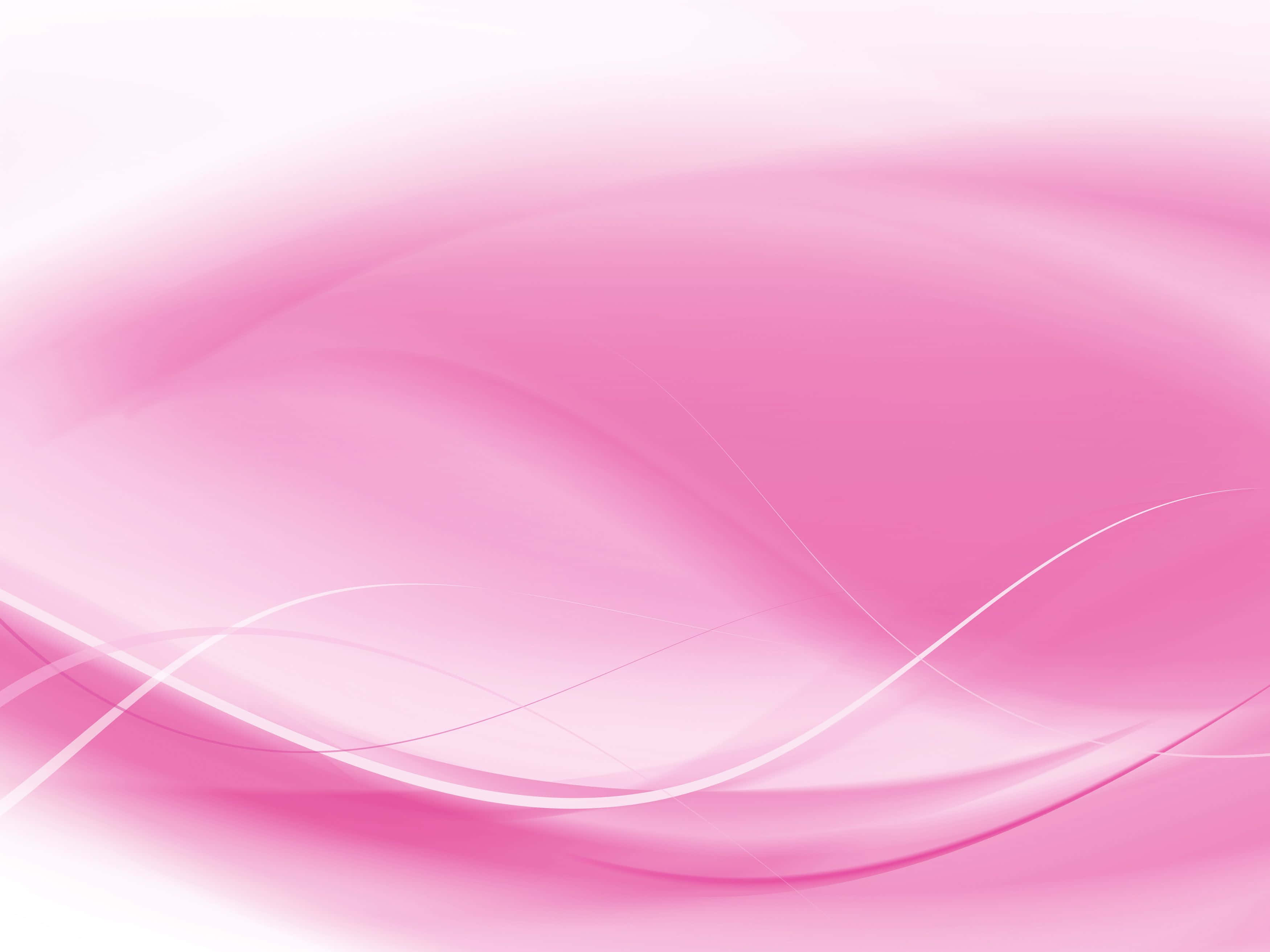 Pink Abstract 桌布 壁紙 — 柔和的粉紅色漸層在帶有精緻白線的明亮白色背景上以柔和的曲線流動。