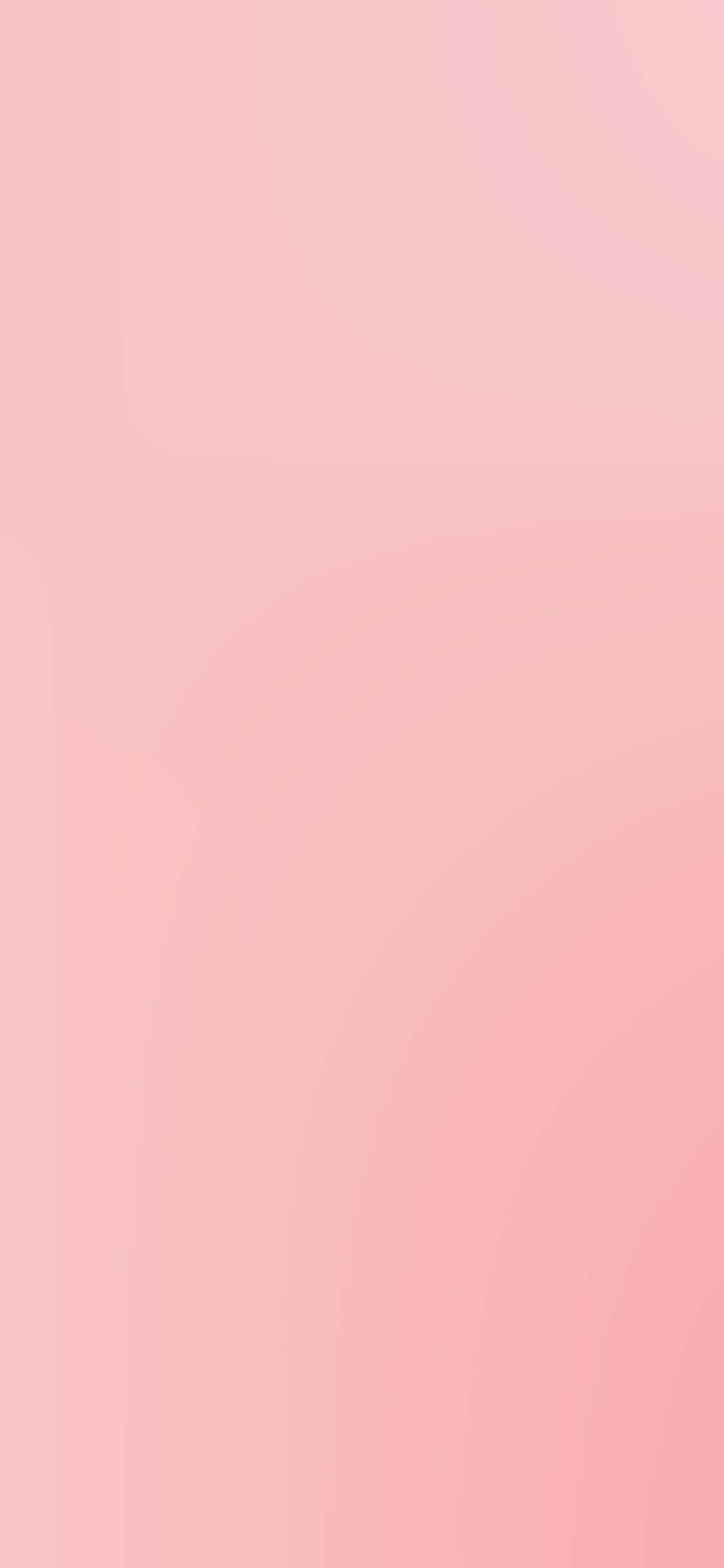 Pink Solid Color 桌布 壁紙 — 柔和的粉紅色漸變色調，以溫柔的波浪曲線流過整個畫面。