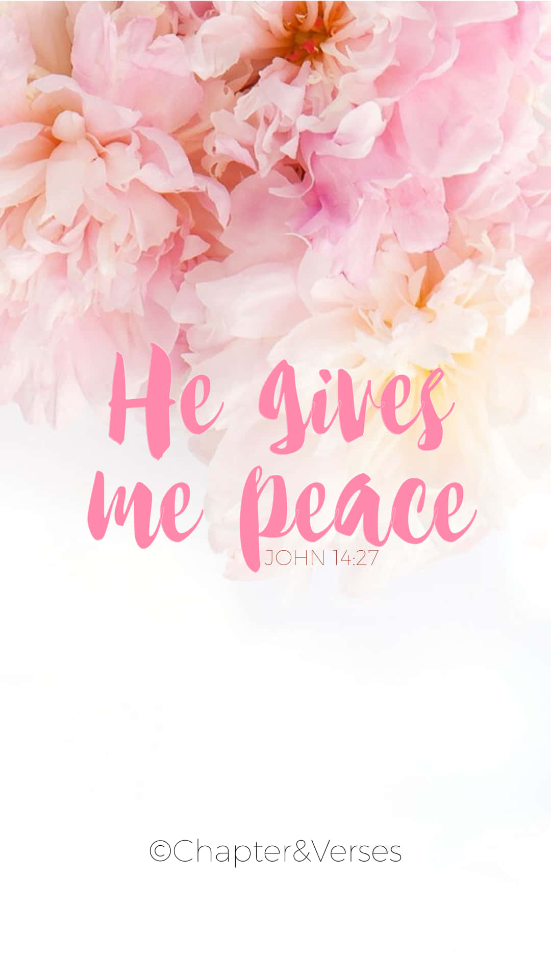 Girly Bible Verse 桌布 壁紙 — 柔和的粉紅色牡丹在優雅的手寫文字「祂賜我平安」及聖經引用背後盛開。