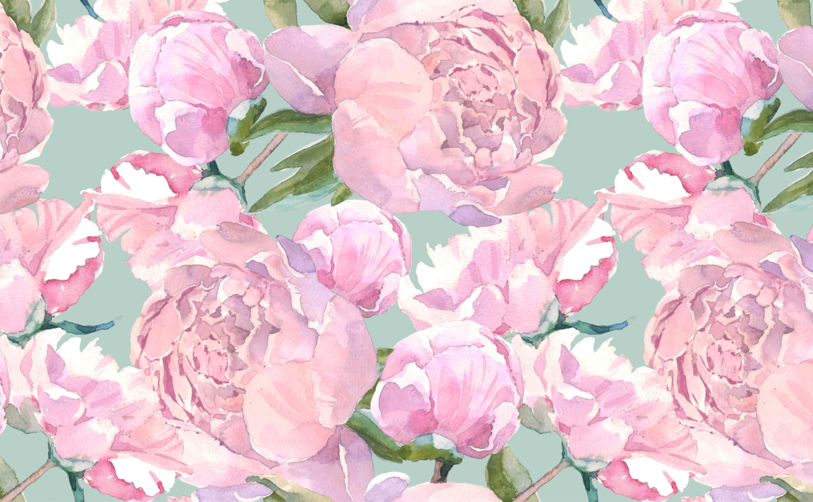 Peonies 桌布 壁紙 — 柔和的粉紅色牡丹在薄荷綠色背景上以水彩圖案綻放，帶有精緻的綠色莖。