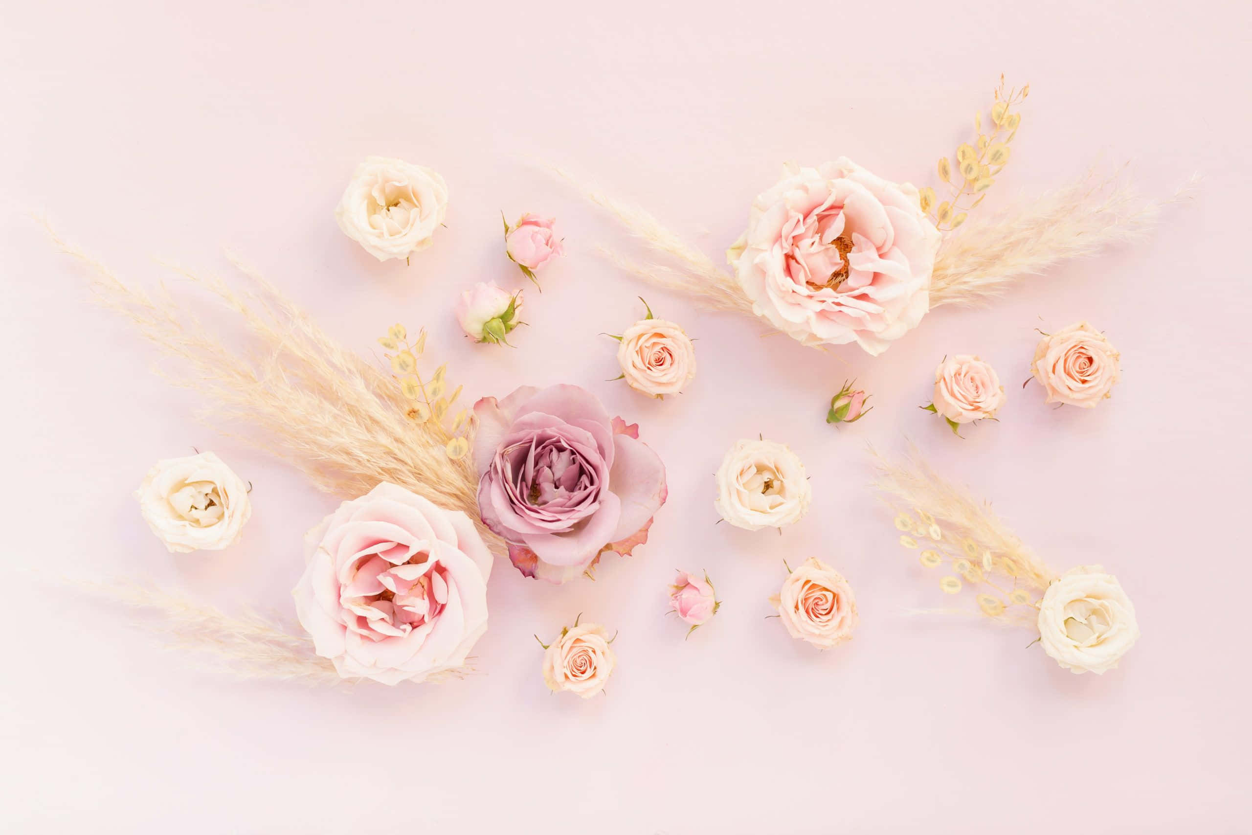 Spring Pastel 桌布 壁紙 — 柔和的粉紅色玫瑰和小麥草在淡粉色背景上以精緻的平鋪方式排列。