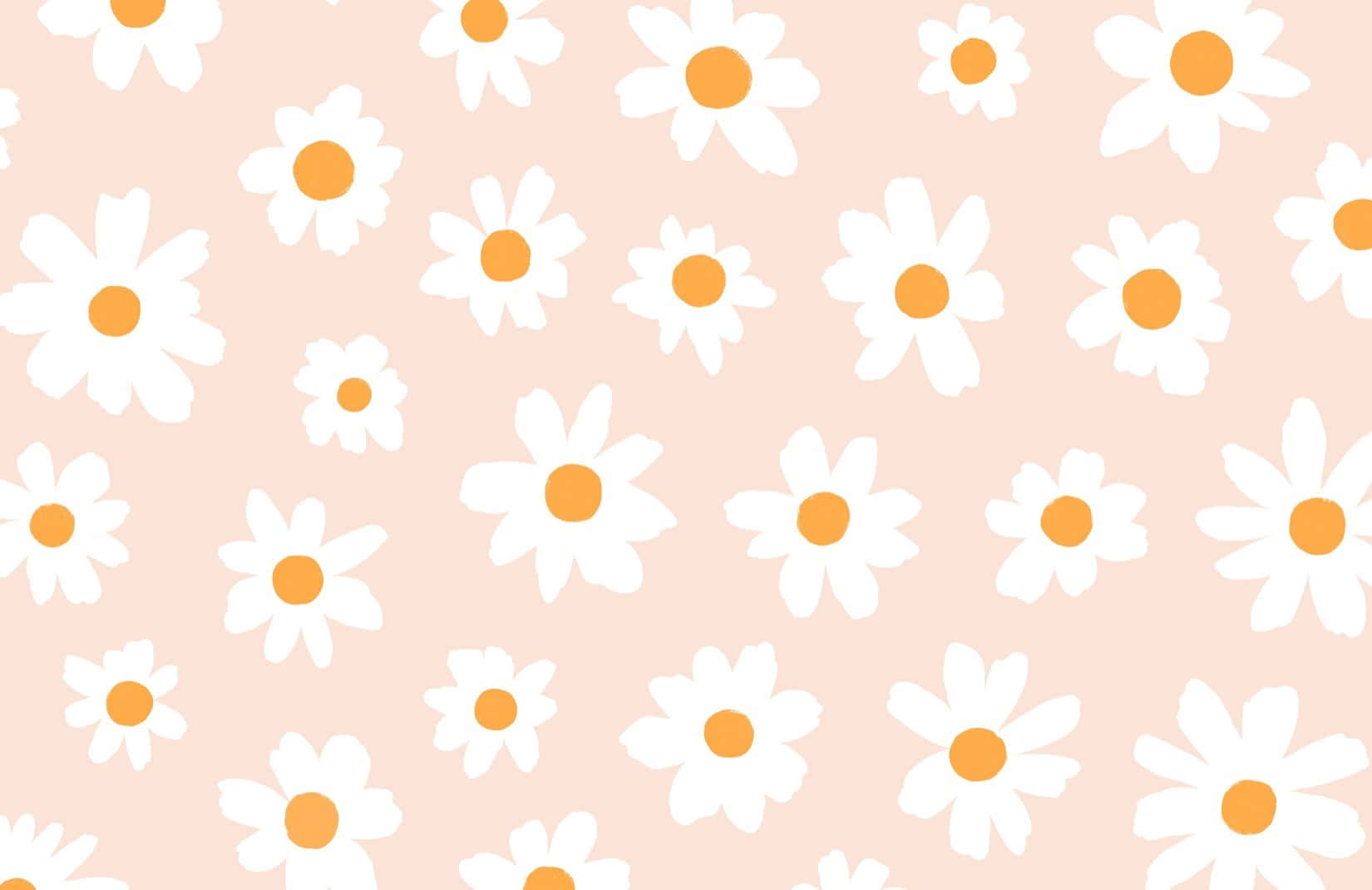 Daisy 桌布 壁紙 — 柔和的粉紅色背景，點綴著散落的白色雛菊，帶有橙色花心，形成俏皮的重複圖案。