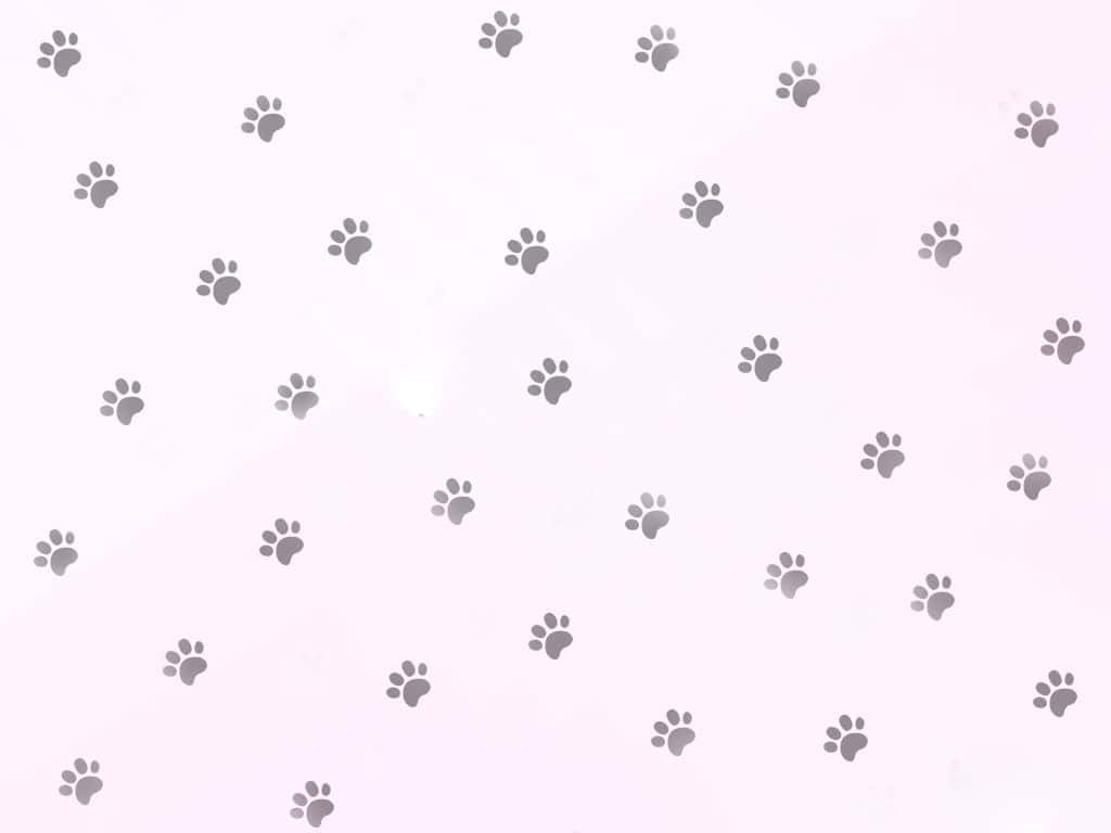paws 桌布 壁紙 — 柔和的粉紅色背景上，散落著微妙的灰色爪印，形成溫柔的重複圖案。