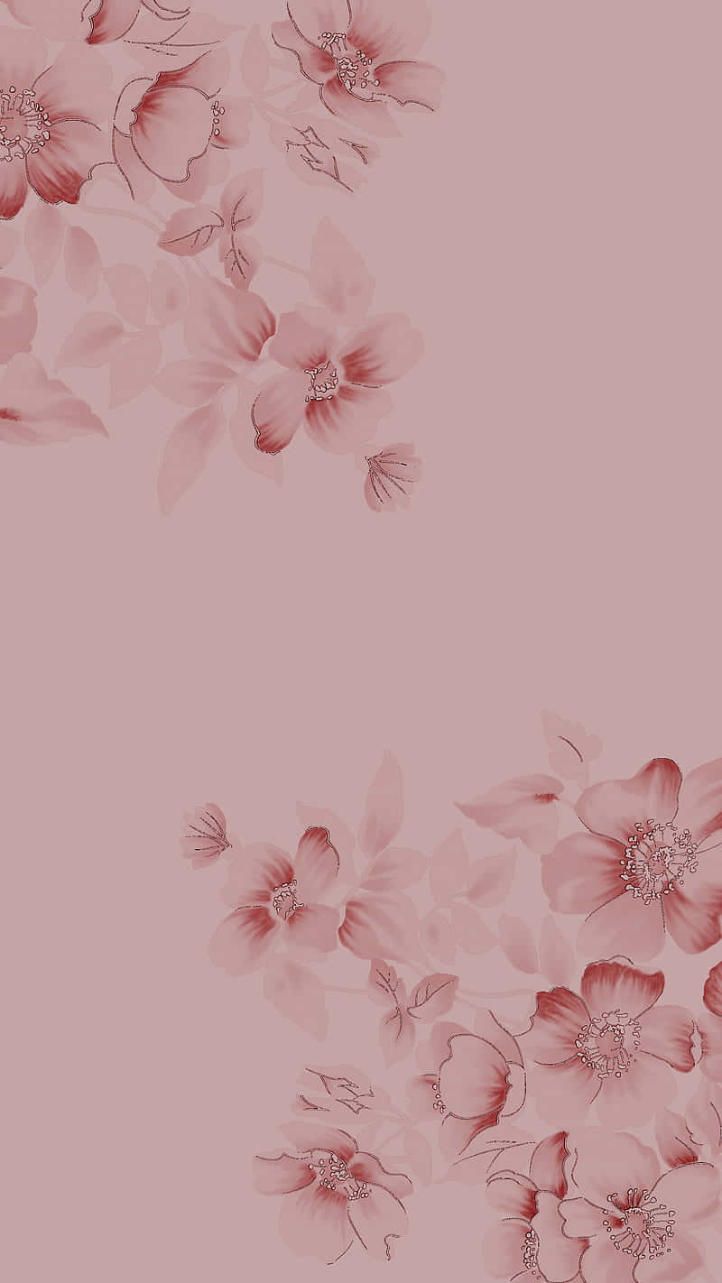 Pink Flower 桌布 壁紙 — 柔和的粉紅色花枝以柔和的水彩渲染，精緻地框住淡玫瑰色背景的角落。