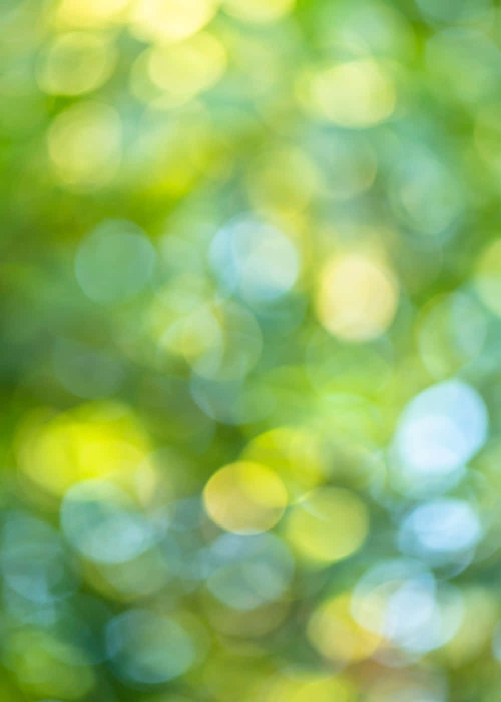 Bokeh 桌布 壁紙 — 柔和的綠色、黃色和藍色光線穿過陽光照射的樹葉形成的散景圓圈，創造出夢幻的自然背景。