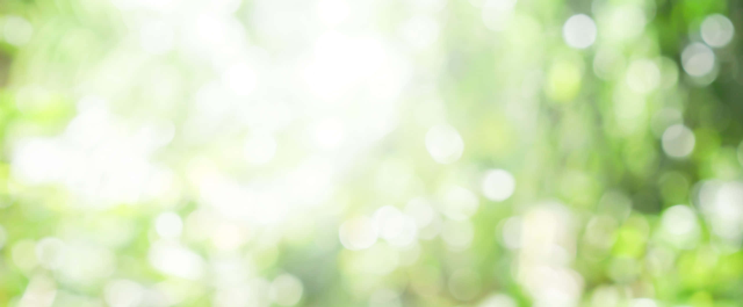 背景 桌布 壁紙 — 柔和的綠色散景光線穿過陽光照射的樹葉閃爍，營造出夢幻般的自然背景。
