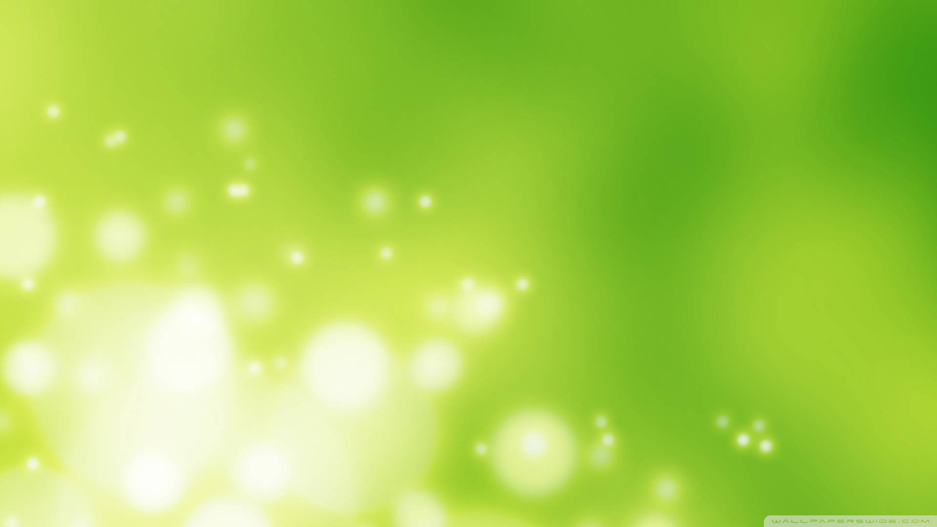 Plain Green 桌布 壁紙 — 柔和的綠色漸層背景，帶有發光的散景燈光，營造出夢幻般的空靈氛圍。