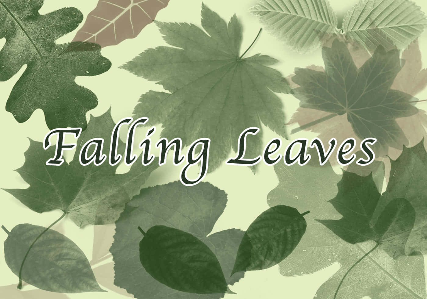 Fall Leaf 桌布 壁紙 — 柔和的綠色背景，飾有重疊的秋葉，呈現不同色調和形狀，並帶有 Falling Leaves 文字。