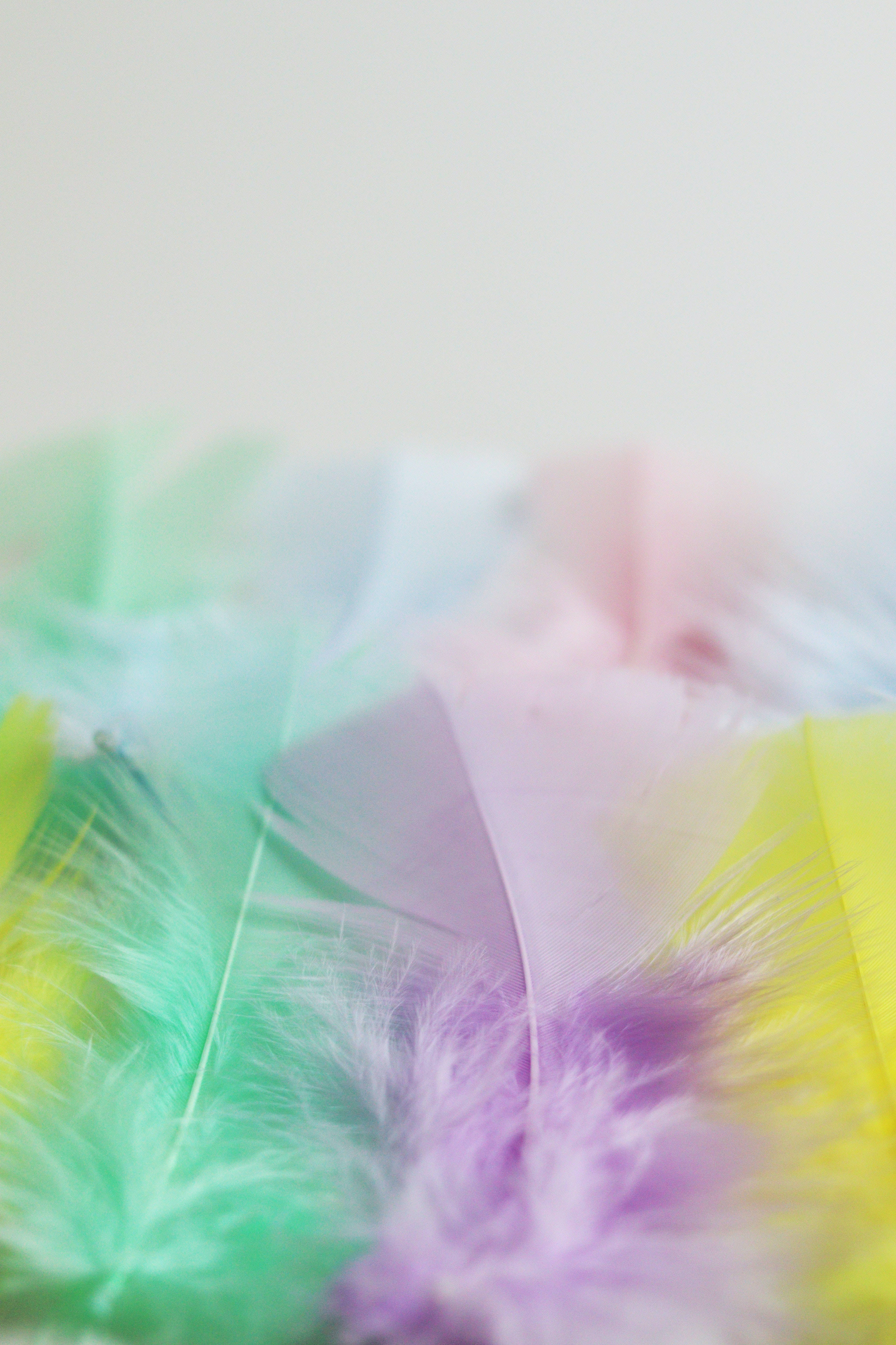 Cute Pastel Aesthetic 桌布 壁紙 — 柔和的薄荷綠、薰衣草和黃色粉彩羽毛在明亮的白色背景上輕輕模糊。