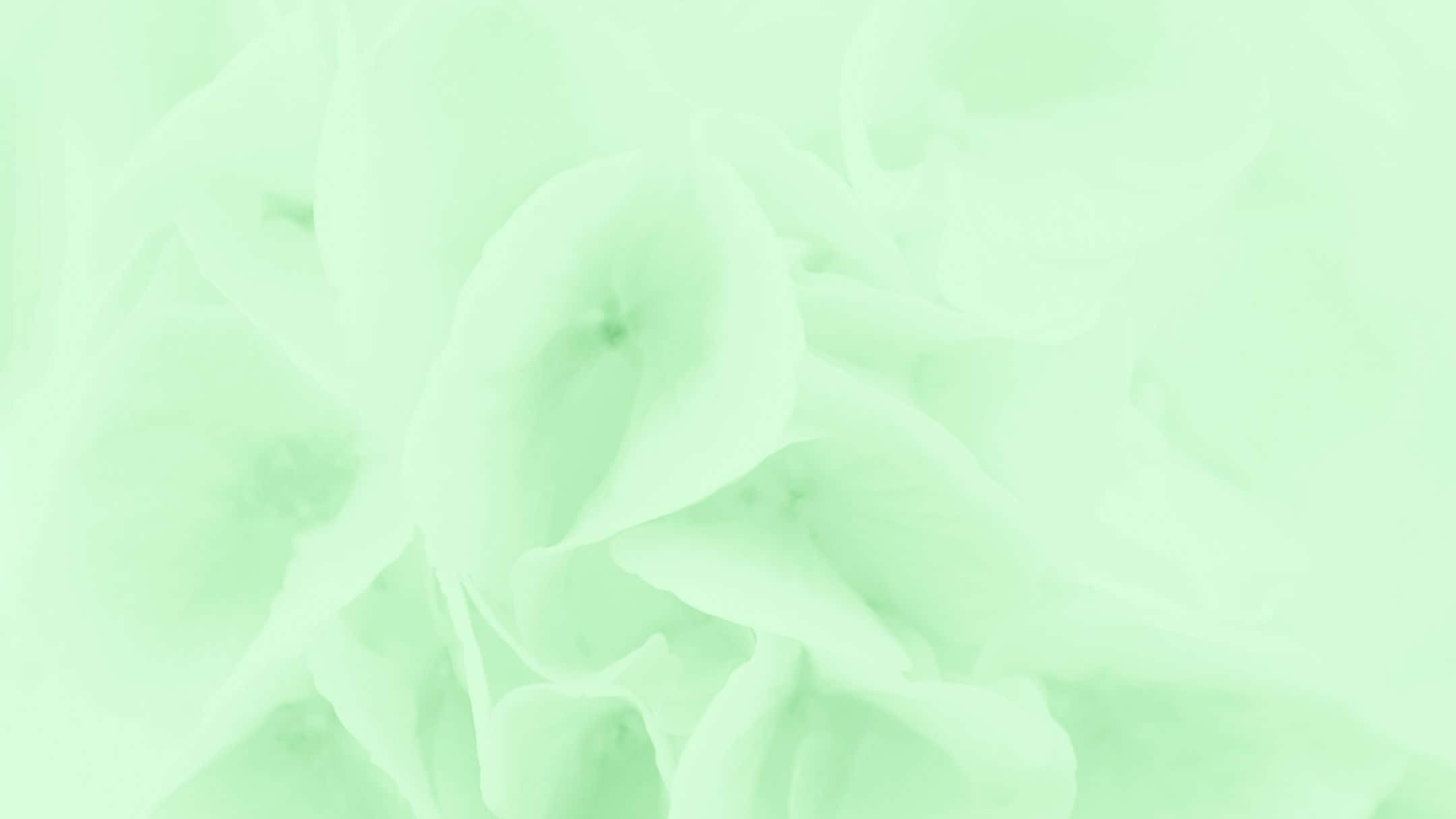 Green Floral 桌布 壁紙 — 柔和的薄荷綠色抽象漩渦，類似煙霧或布料在輕柔運動中。