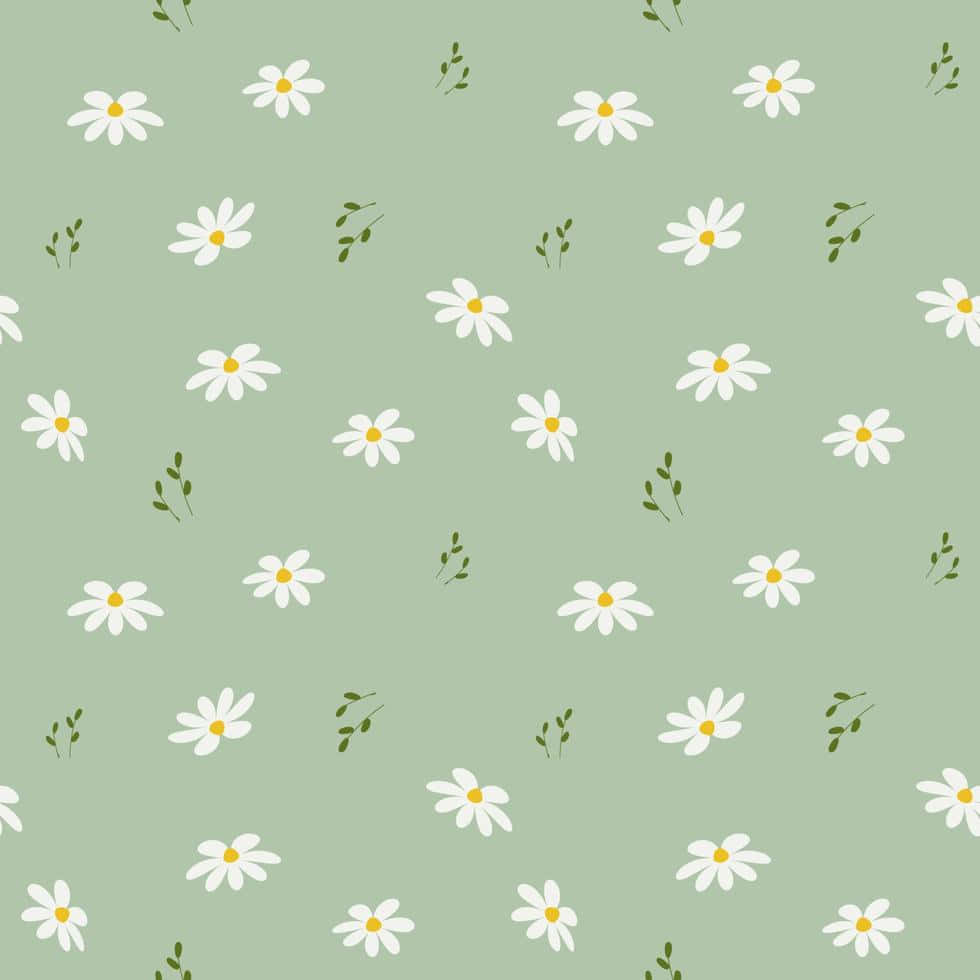 Daisy 桌布 壁紙 — 柔和的薄荷綠色背景，點綴著散落的白色雛菊和小綠枝，形成柔和的重复圖案。