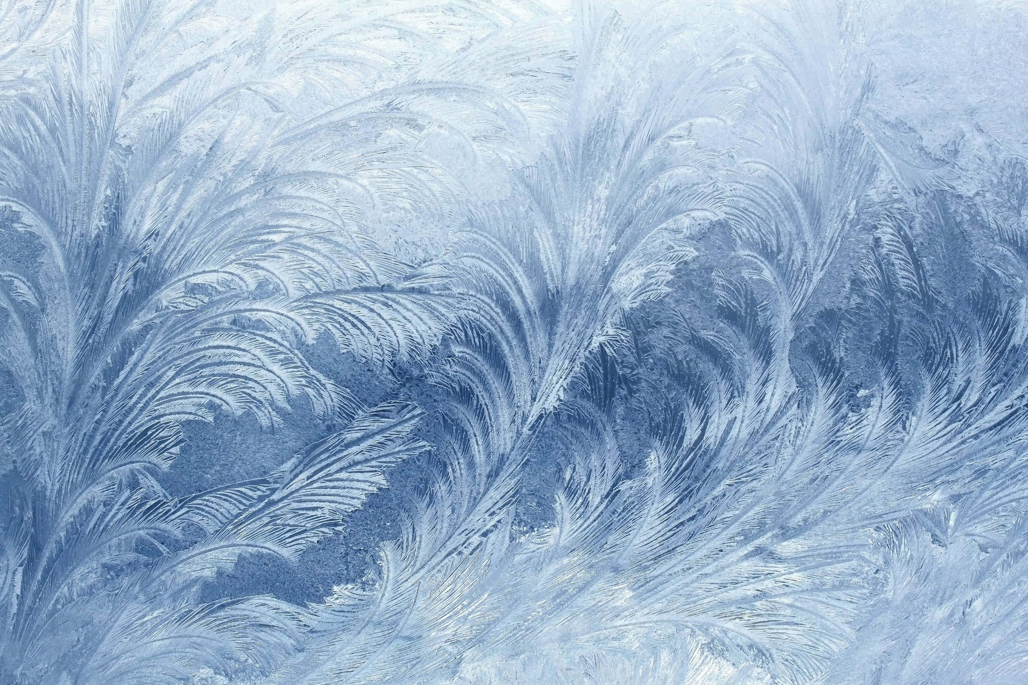Frost 桌布 壁紙 — 柔和的藍白圖案中精緻的霜羽覆蓋著冬季場景中的玻璃表面。