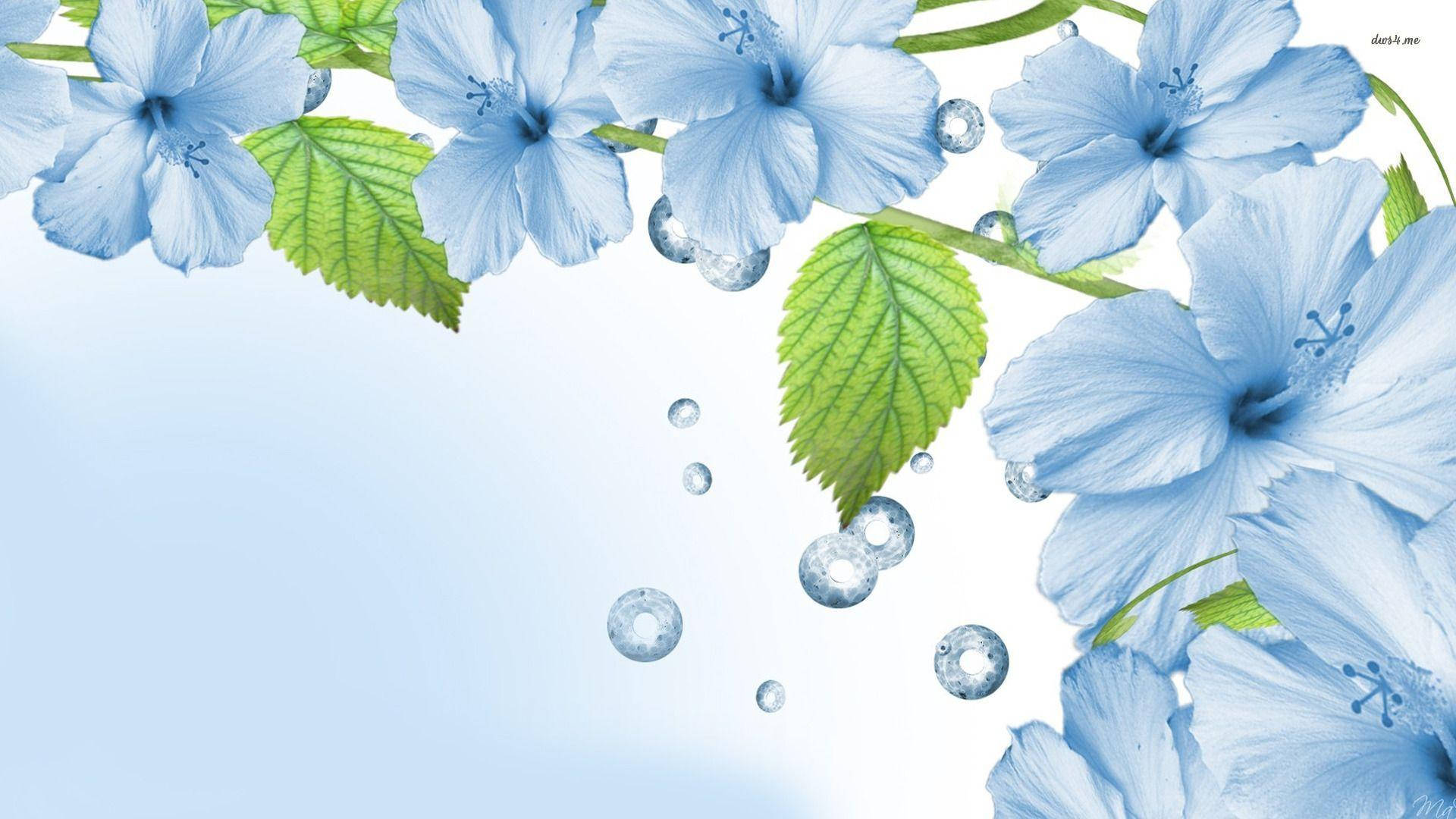Flowers 桌布 壁紙 — 柔和的藍色木槿花，搭配綠色葉片和漂浮的水滴，點綴在淺藍色漸變背景上。