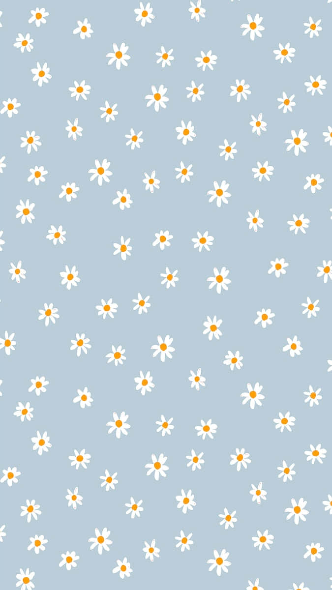 Cute Flower 桌布 壁紙 — 柔和的藍色背景，散落著帶有亮橙色花心的小白雛菊。