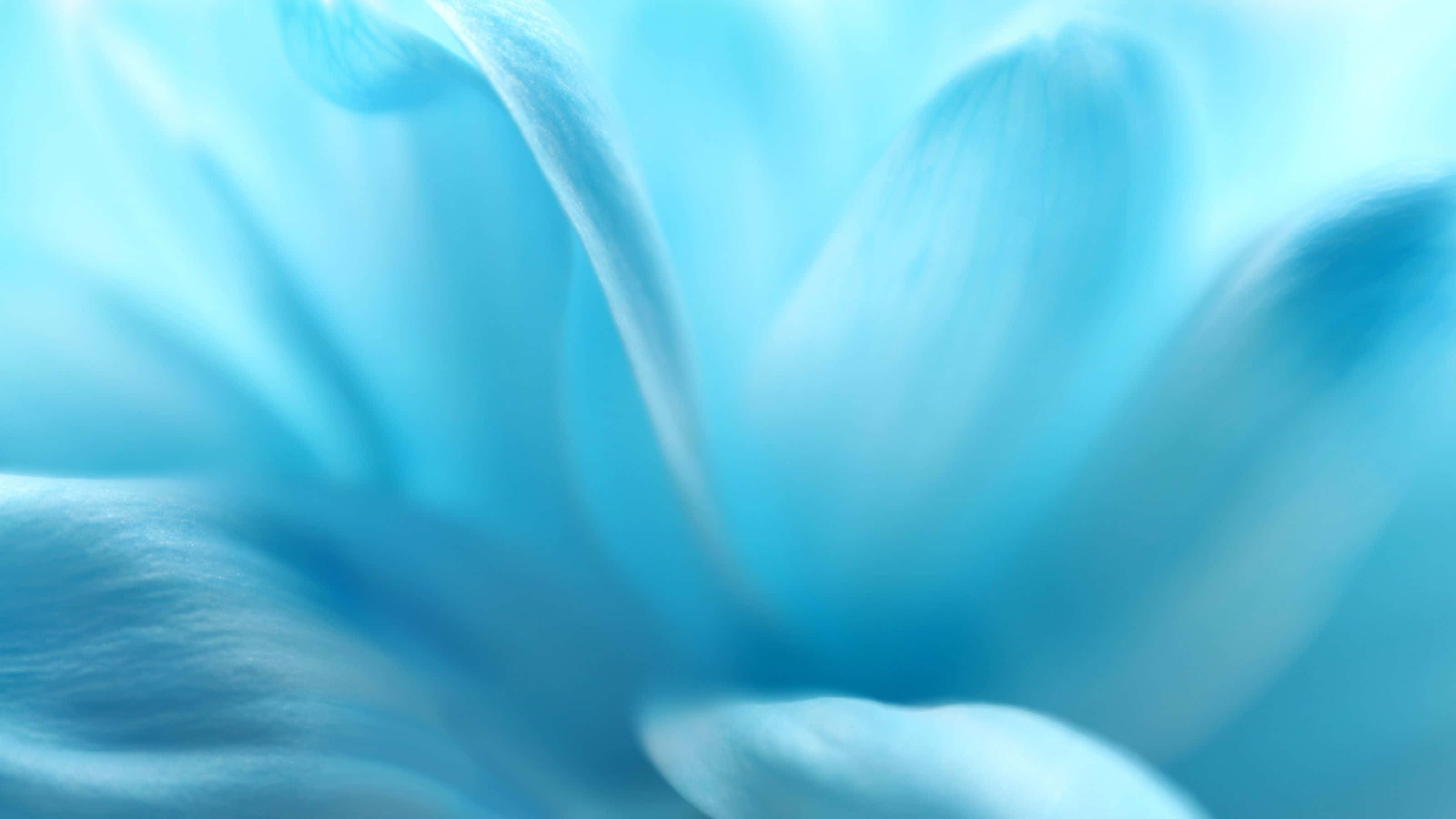 3200x1800 桌布 壁紙 — 柔和的藍色花瓣模糊成夢幻般的抽象花卉紋理，帶有柔和的漸變和流暢的動感。