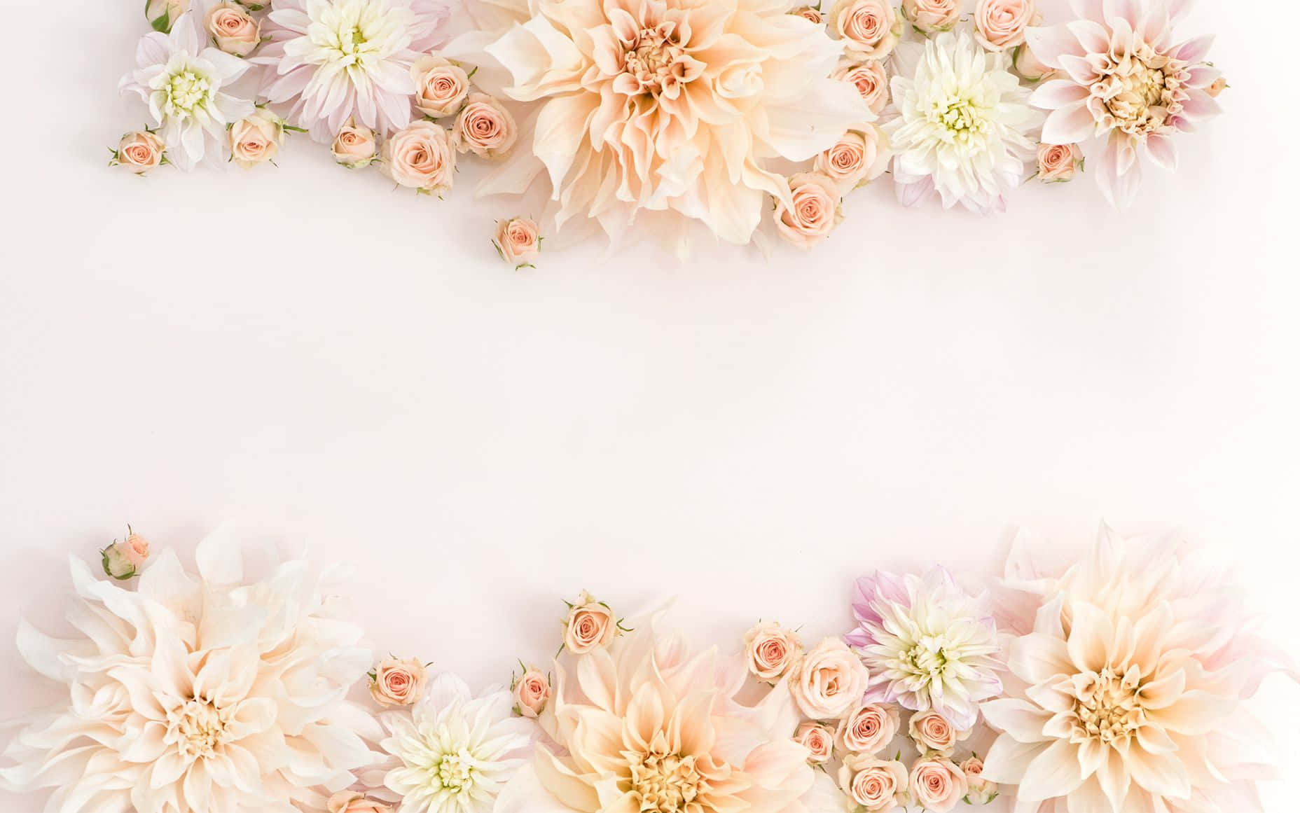 Pinterest 桌布 壁紙 — 柔和的蜜桃色、白色和粉紅色的粉彩花朵在純白背景上形成優雅的邊框。