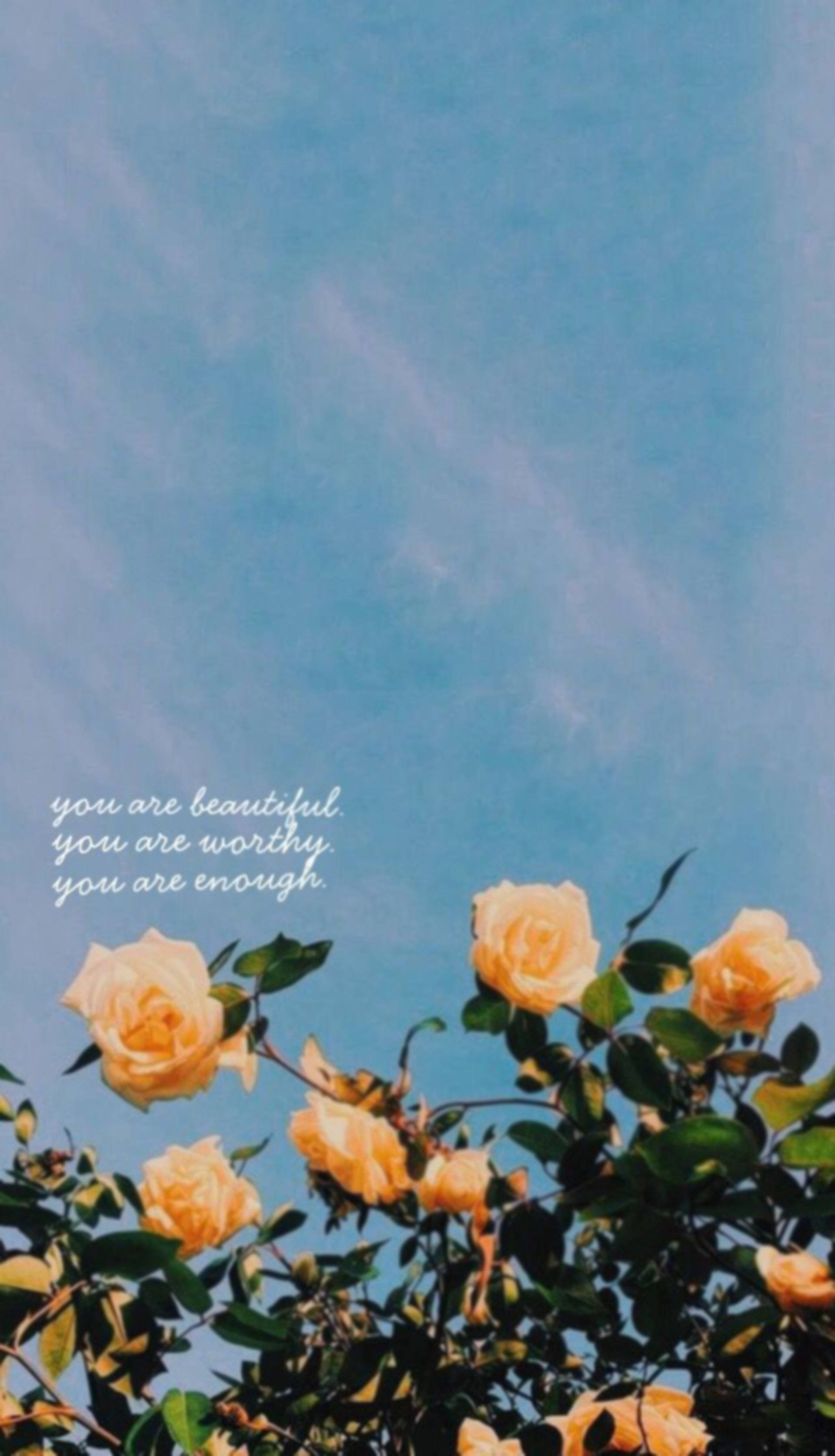 You Are Beautiful 桌布 壁紙 — 柔和的黃玫瑰在晴朗的藍天下綻放，配上溫柔的文字肯定自我價值。