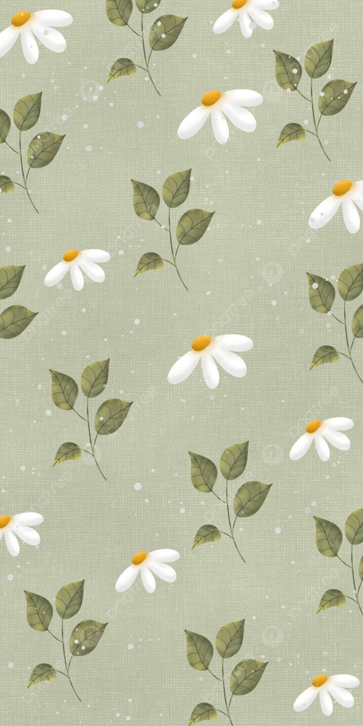 Daisy 桌布 壁紙 — 柔和的鼠尾草綠色壁紙，圖案為散落的白色雛菊和綠色葉子，背景帶有紋理。