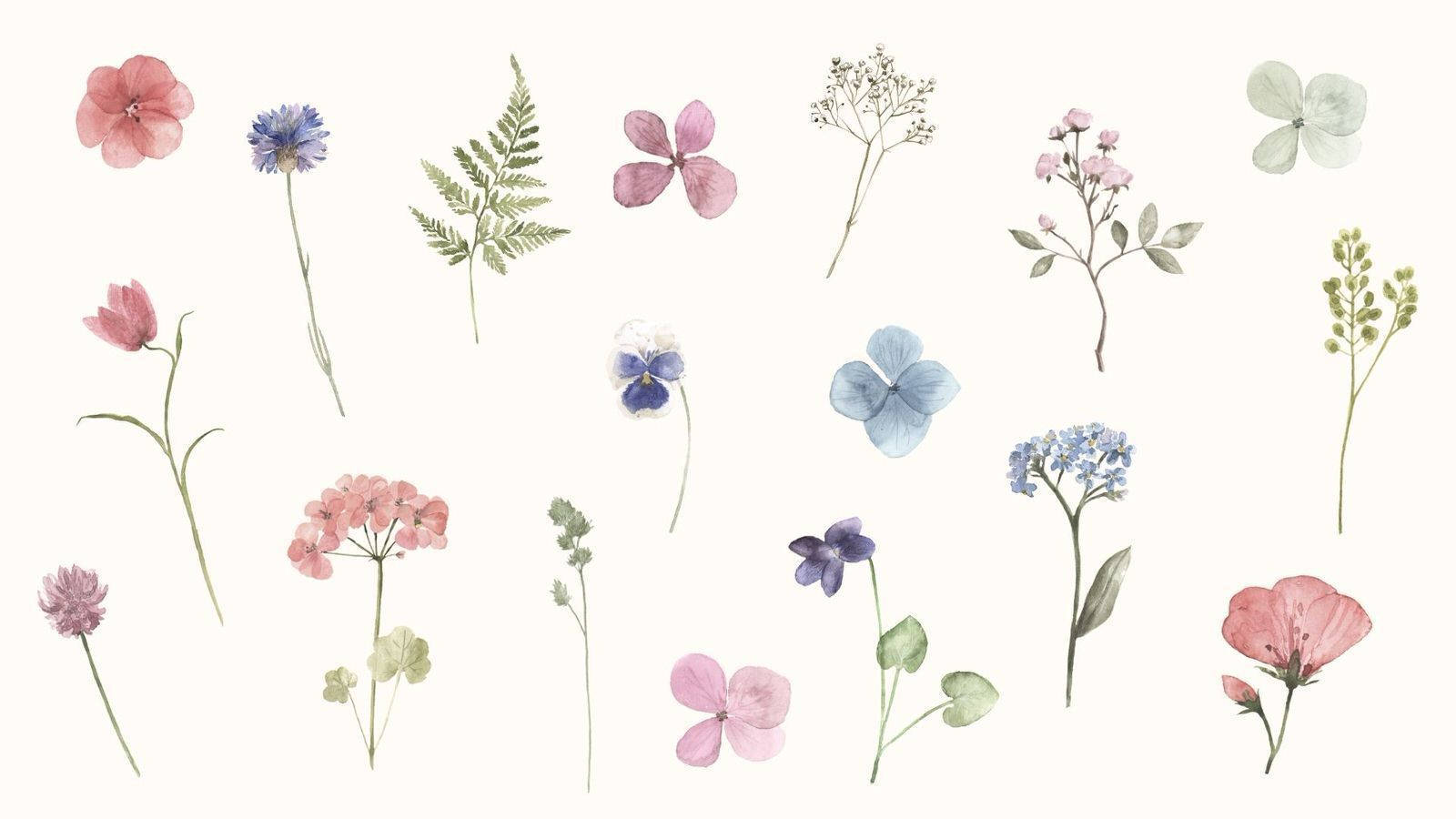 Flowers 桌布 壁紙 — 柔和粉彩中精緻的水彩花卉和蕨類植物在奶油色背景上飄浮，構成植物拼貼畫。