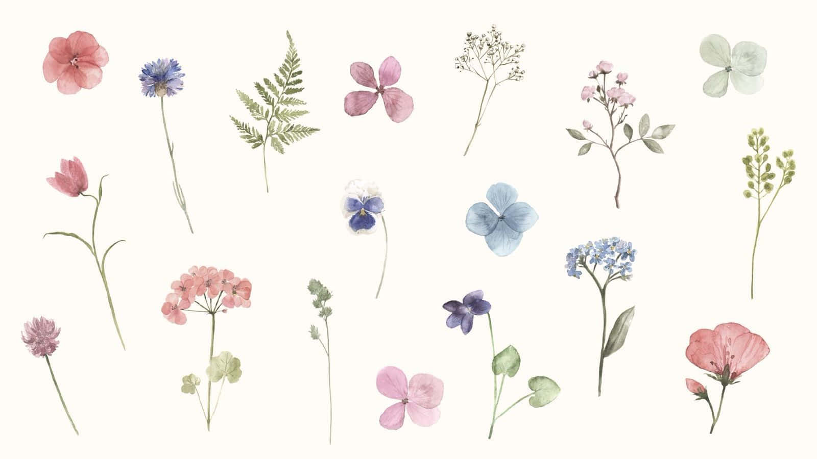 Simple Spring 桌布 壁紙 — 柔和粉彩中精緻的水彩花卉和蕨類植物在奶油色背景上飄浮。