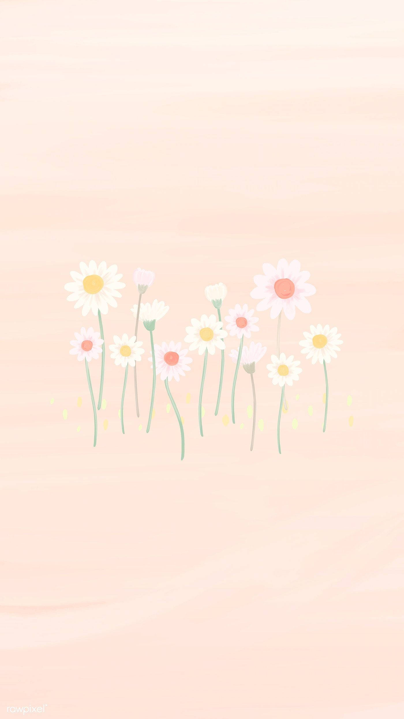 雛菊 iPhone 桌布 壁紙 — 柔和粉彩插圖，雛菊帶有黃色和粉紅色花心，在蜜桃漸變背景上輕輕綻放。