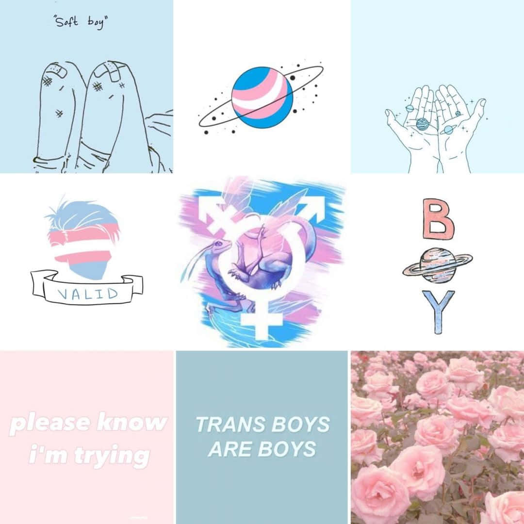 transgender 桌布 壁紙 — 柔和粉彩插圖的拼貼畫，包含性別符號、玫瑰和肯定性文字，呈現溫柔支持的風格。