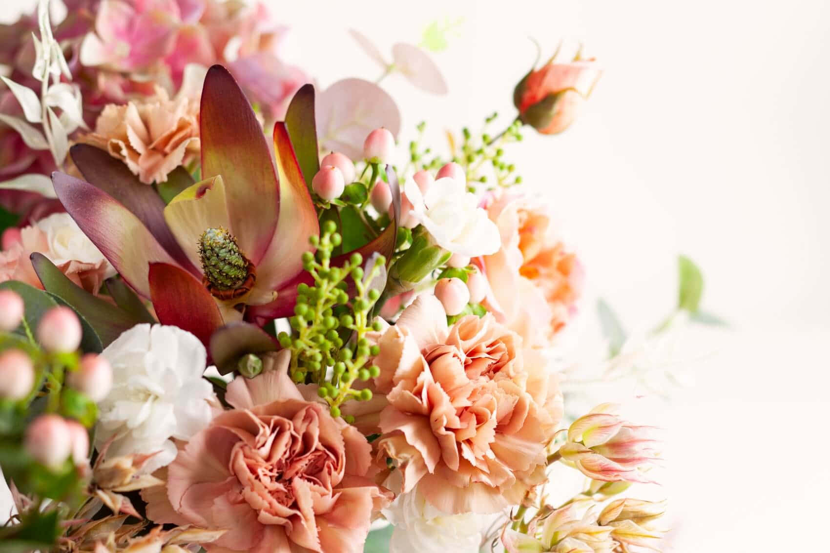 Best Flowers 桌布 壁紙 — 柔和粉彩花卉佈置，搭配蜜桃色康乃馨、粉紅色帝王花和綠色植物，背景為亮白色。