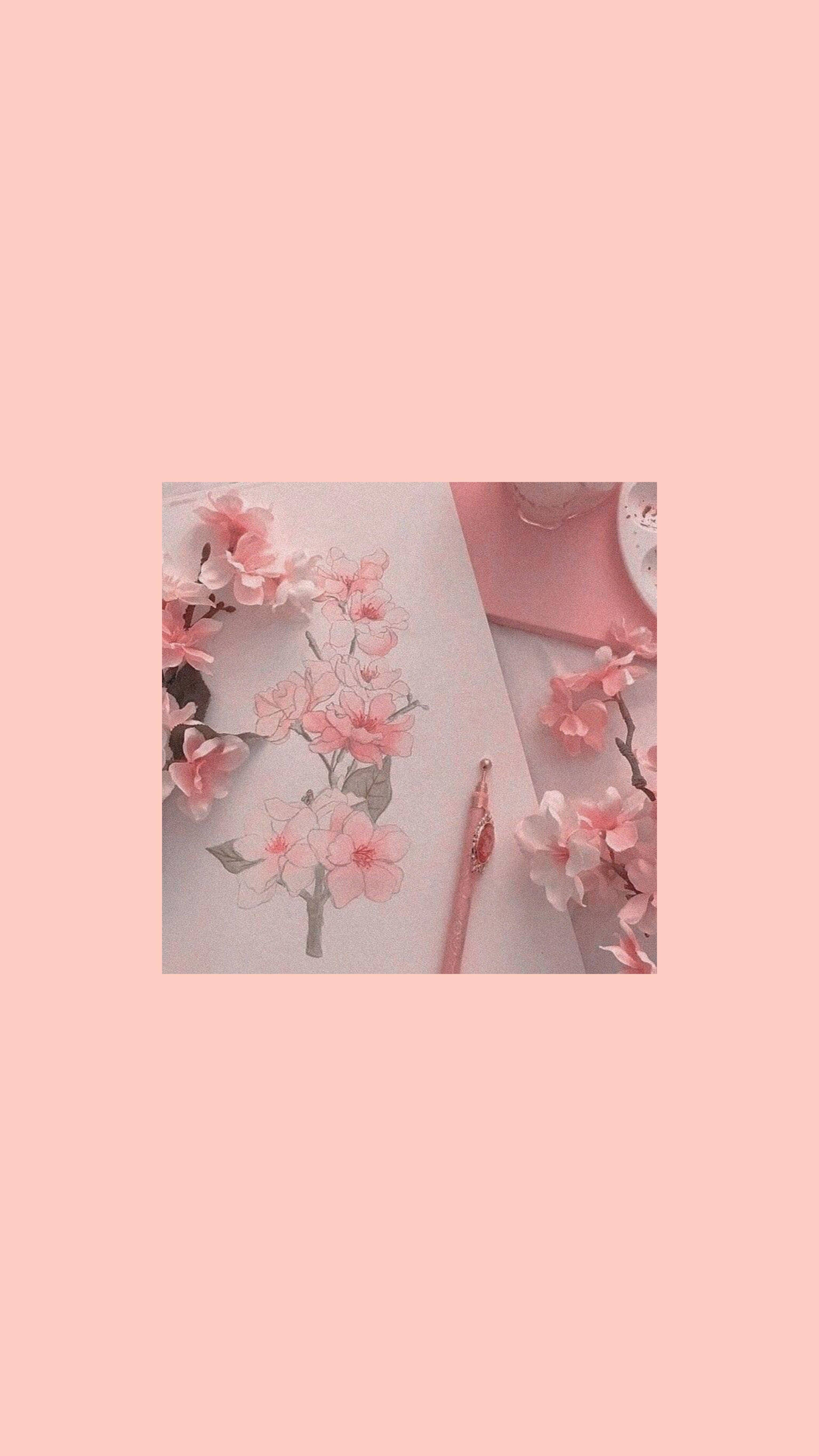 粉紅色系 iPhone 桌布 壁紙 — 柔和粉紅櫻花插圖在紙上，搭配相襯的筆和真花，背景為純色粉紅底色。