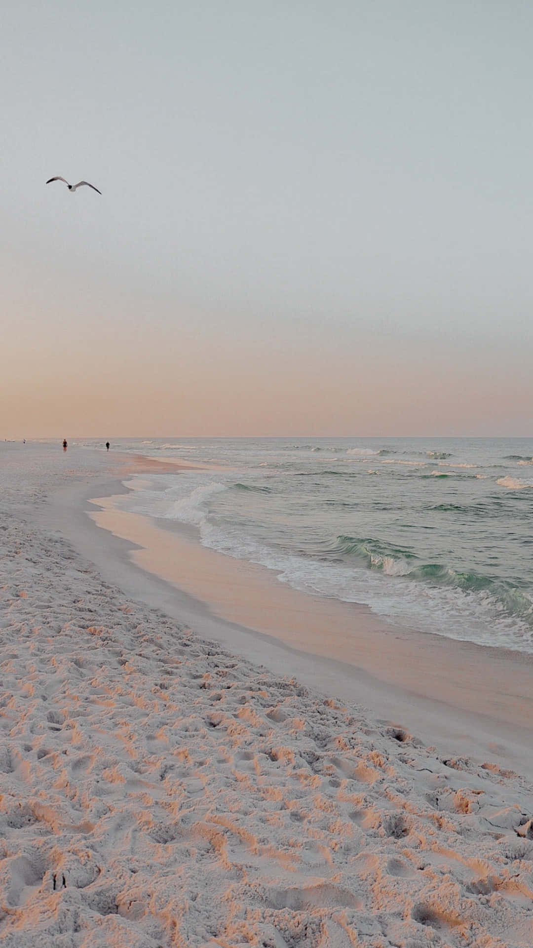 Beach Aesthetic Tumblr 桌布 壁紙 — 柔和粉紅與蜜桃色的日落色調，描繪在寧靜海灘的天空上，溫柔的海浪輕吻沙灘，一隻孤獨的海鷗在頭頂翱翔。