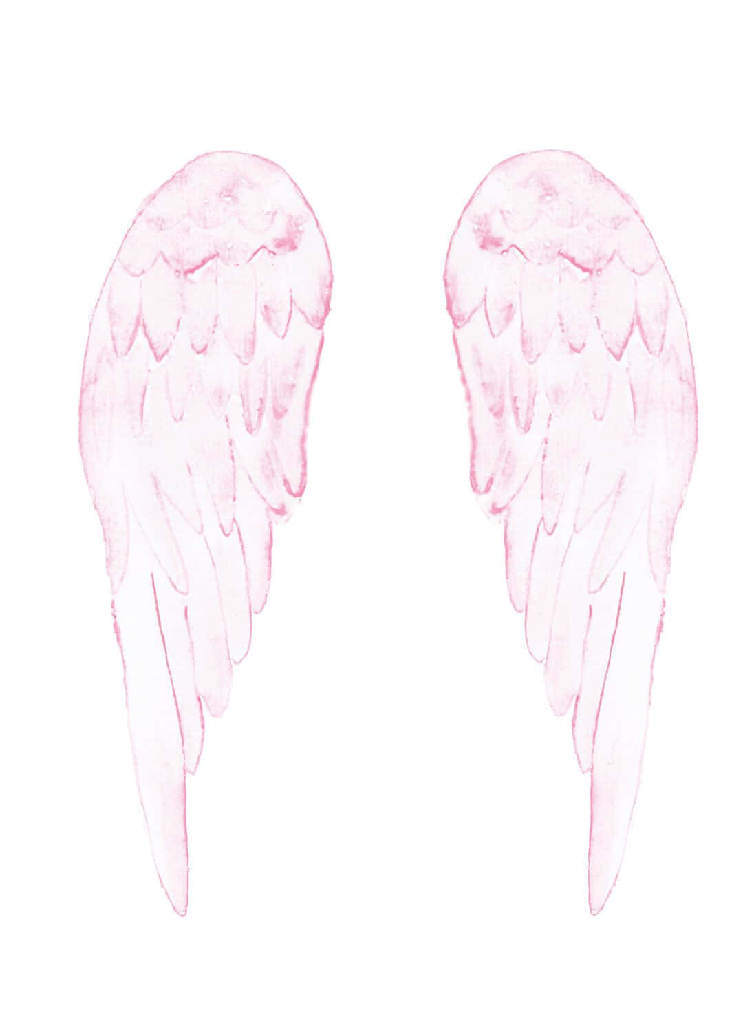 Angel Wings 桌布 壁紙 — 柔和粉紅色水彩天使翅膀，帶有精緻羽毛筆觸，在潔白背景上。