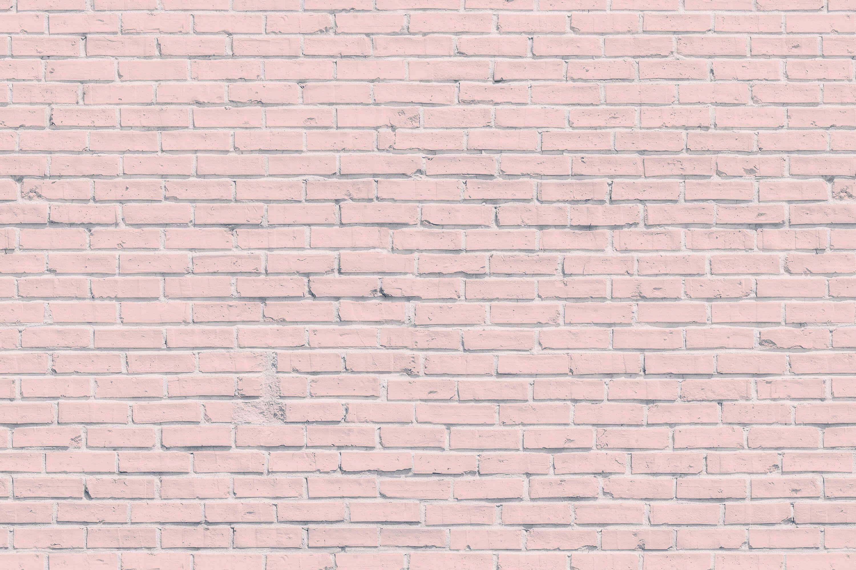 Pink Brick 桌布 壁紙 — 柔和粉紅色油漆磚牆，在均勻光線下帶有細微紋理和砂漿線。