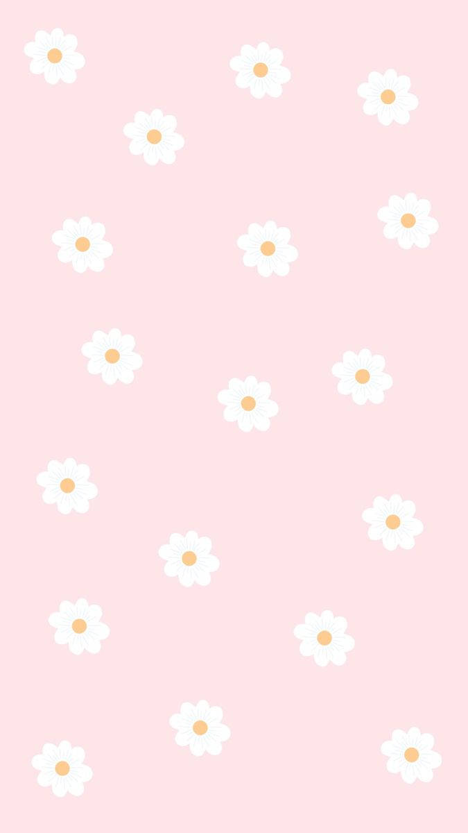 girly pink aesthetic 桌布 壁紙 — 柔和粉紅色背景，點綴著帶有黃色中心的簡單白色雛菊。
