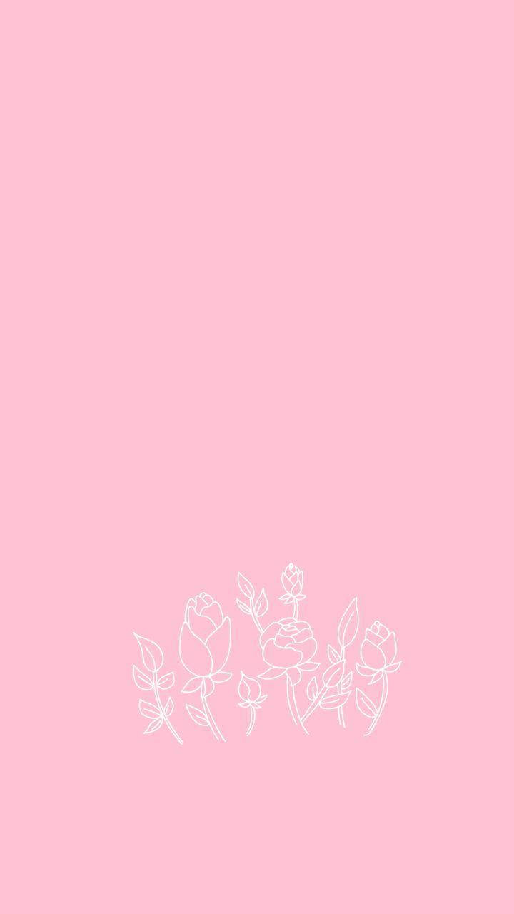 Plain Aesthetic 桌布 壁紙 — 柔和粉紅色背景上的極簡白色線條玫瑰與花蕾圖案。