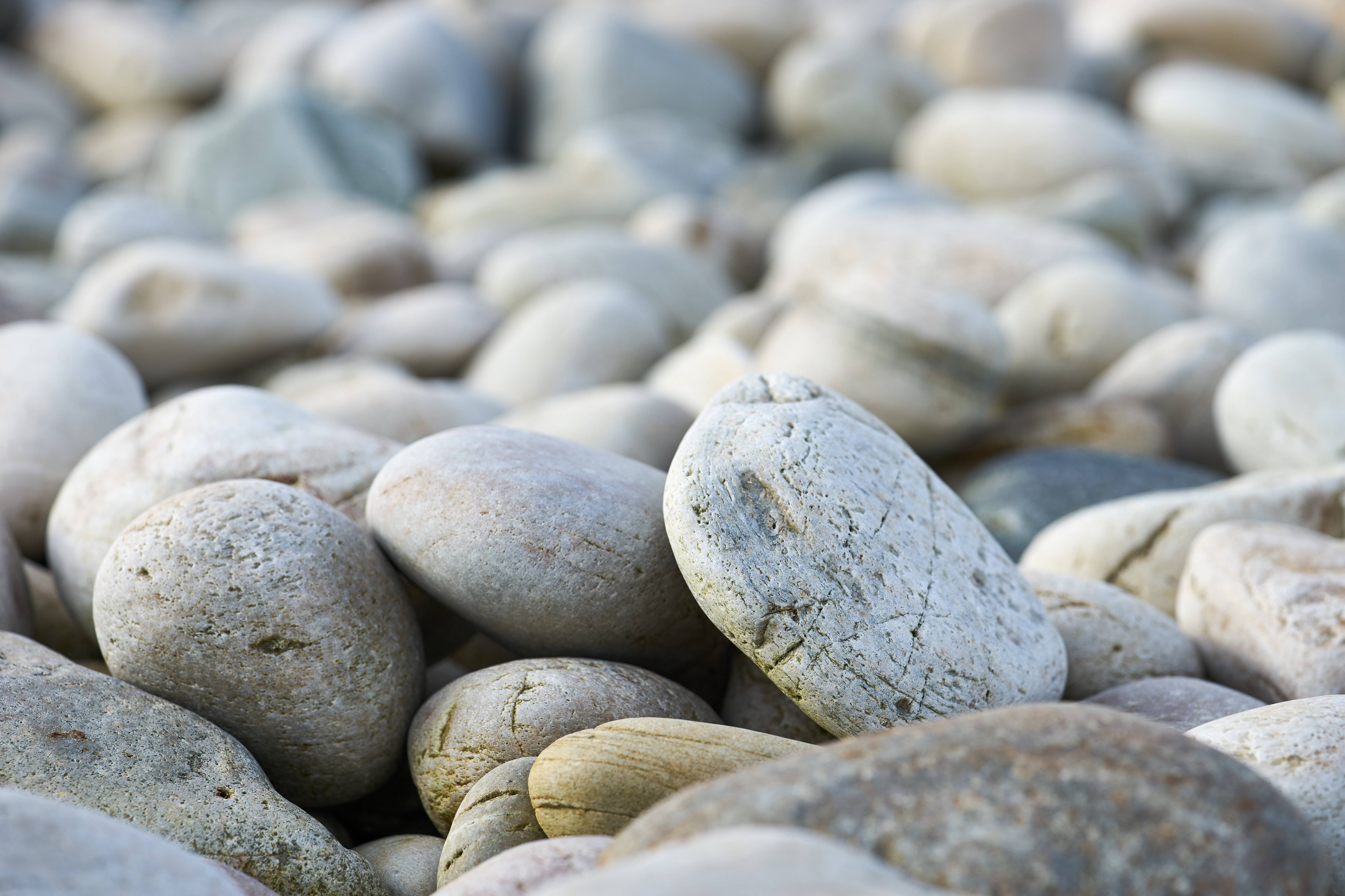 Stone 桌布 壁紙 — 柔和自然光下淺景深拍攝的平滑圓形河石特寫。
