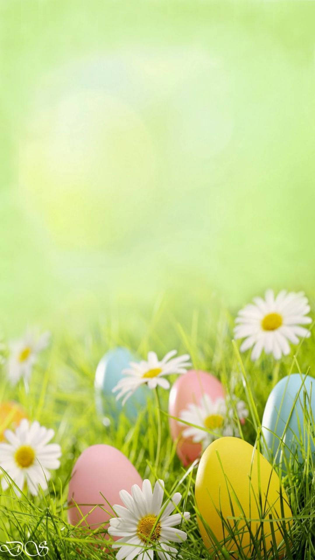 Easter iPhone 桌布 壁紙 — 柔和色調的復活節彩蛋和白色雛菊，在柔和陽光下躺在鮮綠的草地上。